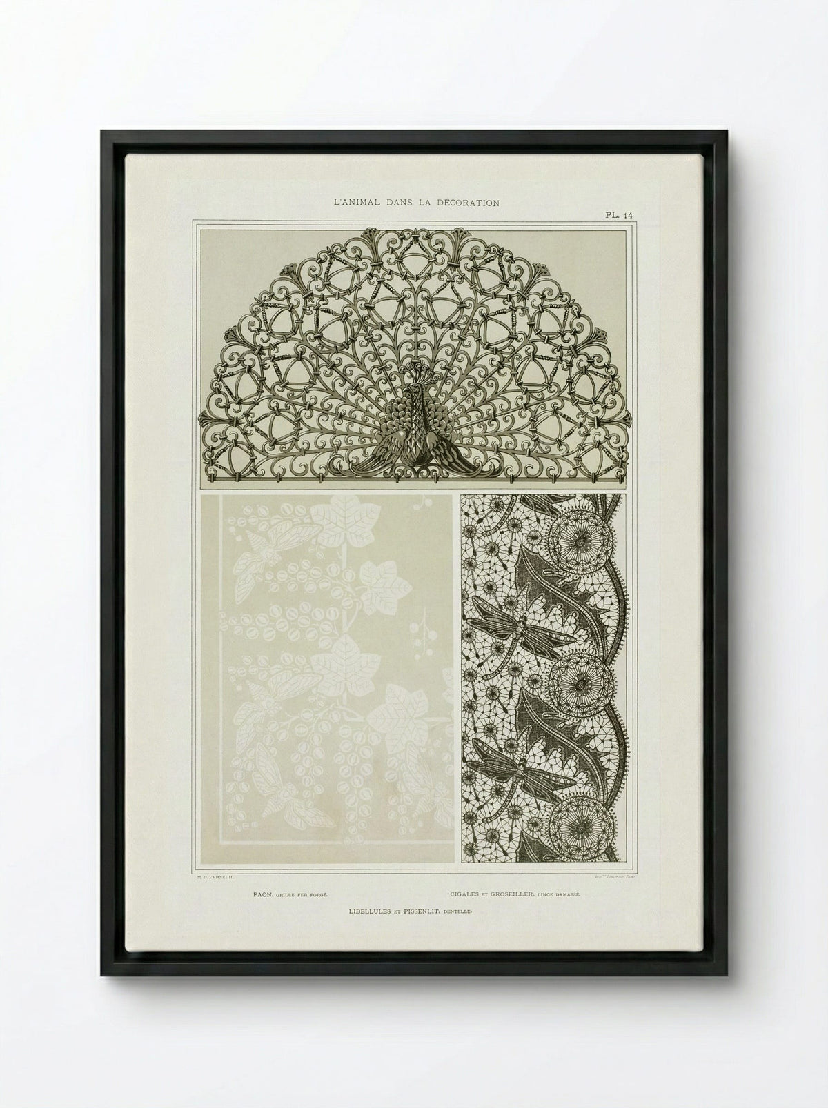 L'Animal dans la Décoration, Plate 14 (Peacock, Cicadas, Dragonflies) - Maurice Pillard Verneuil - Framed Canvas Black