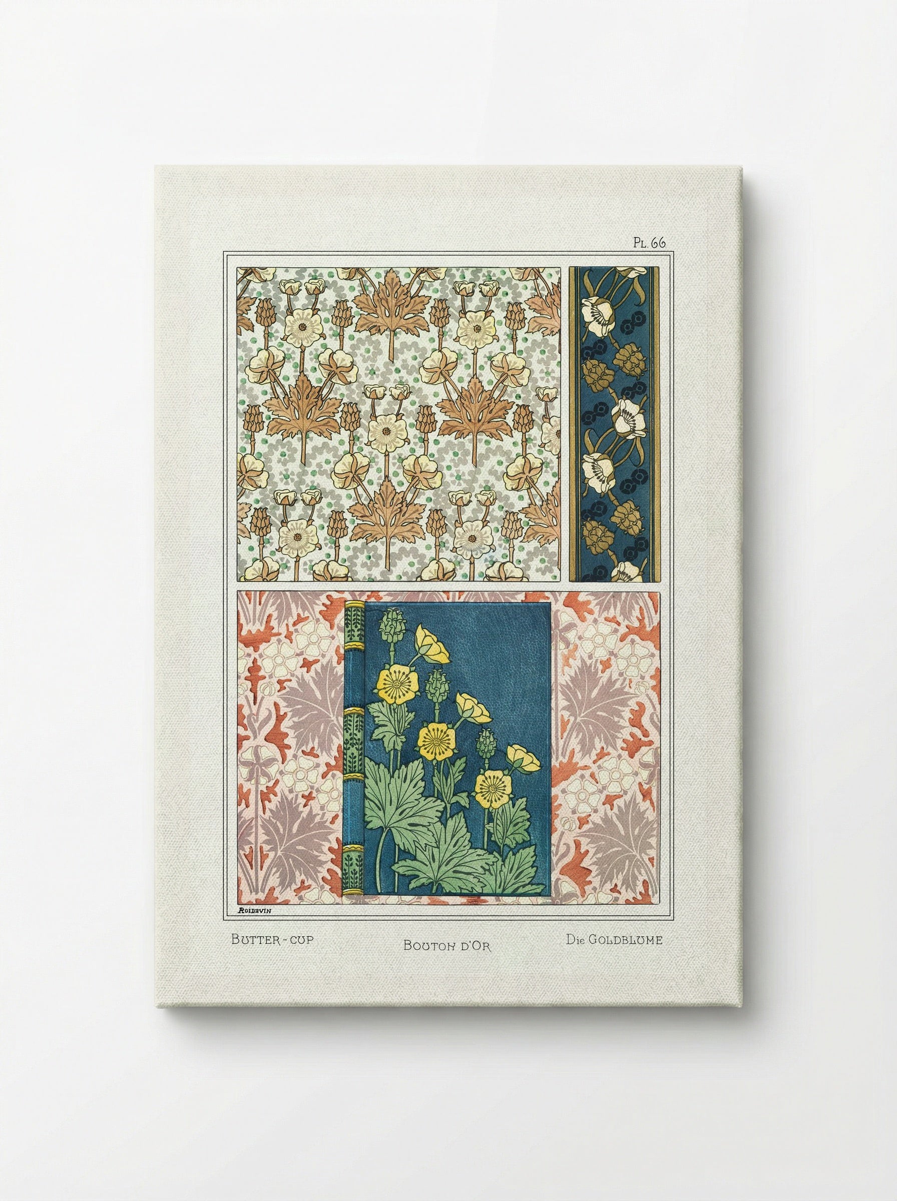 Bouton d'Or (Buttercup) from La Plante et ses Applications ornementales - Maurice Pillard Verneuil - Canvas