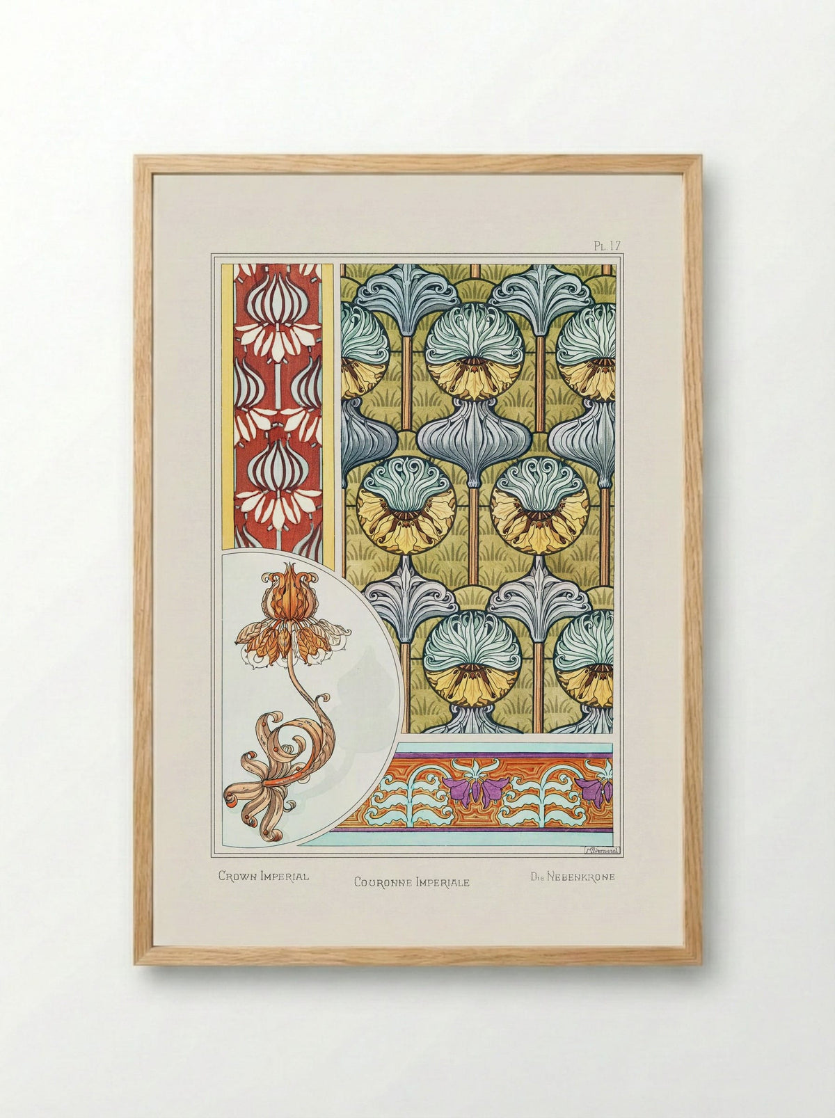 Couronne Impériale (Crown Imperial) from La Plante et ses Applications ornementales - Maurice Pillard Verneuil - Framed Print Wood