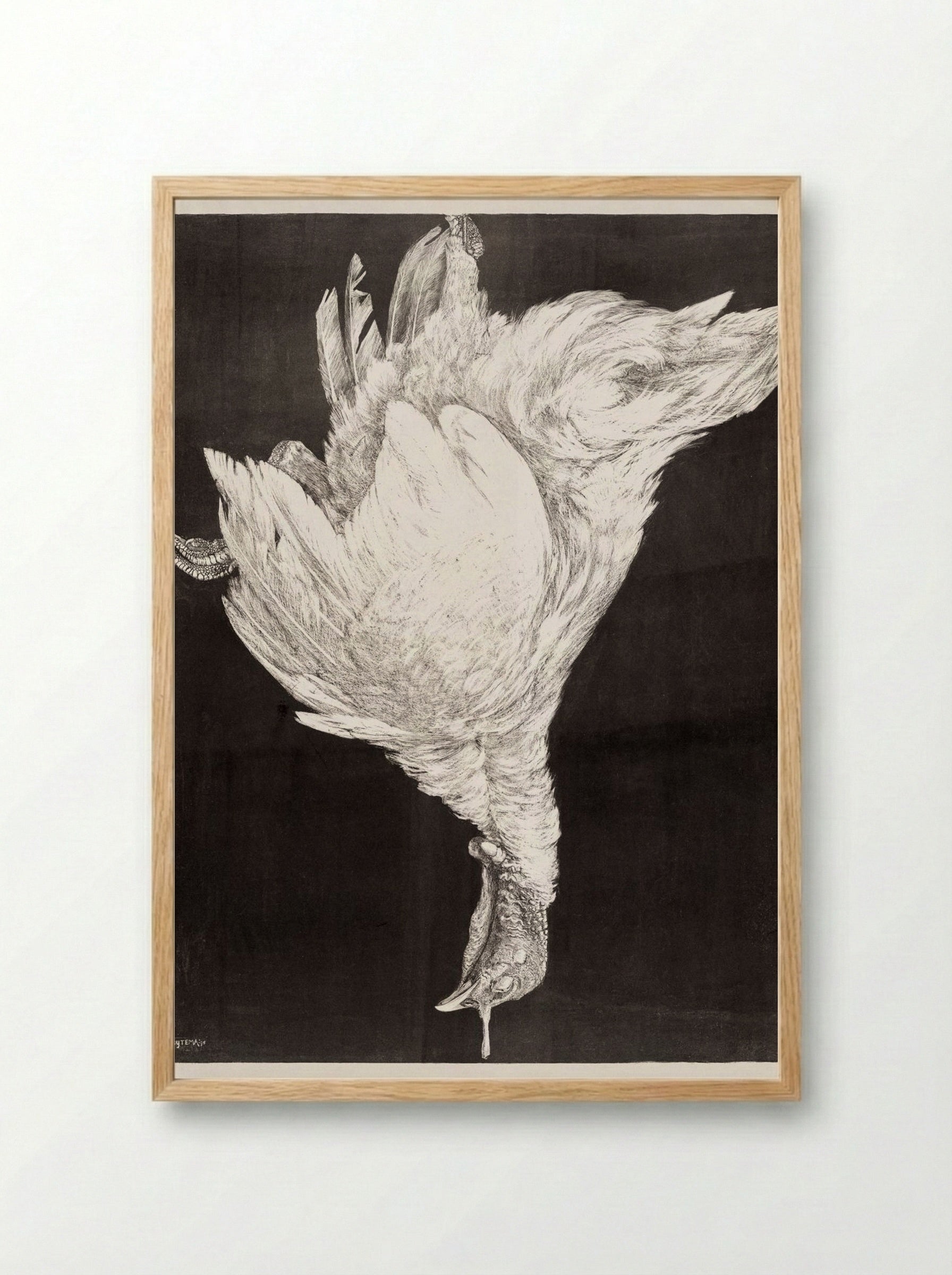 Dead Turkey - Theo van Hoytema - Framed Print Wood