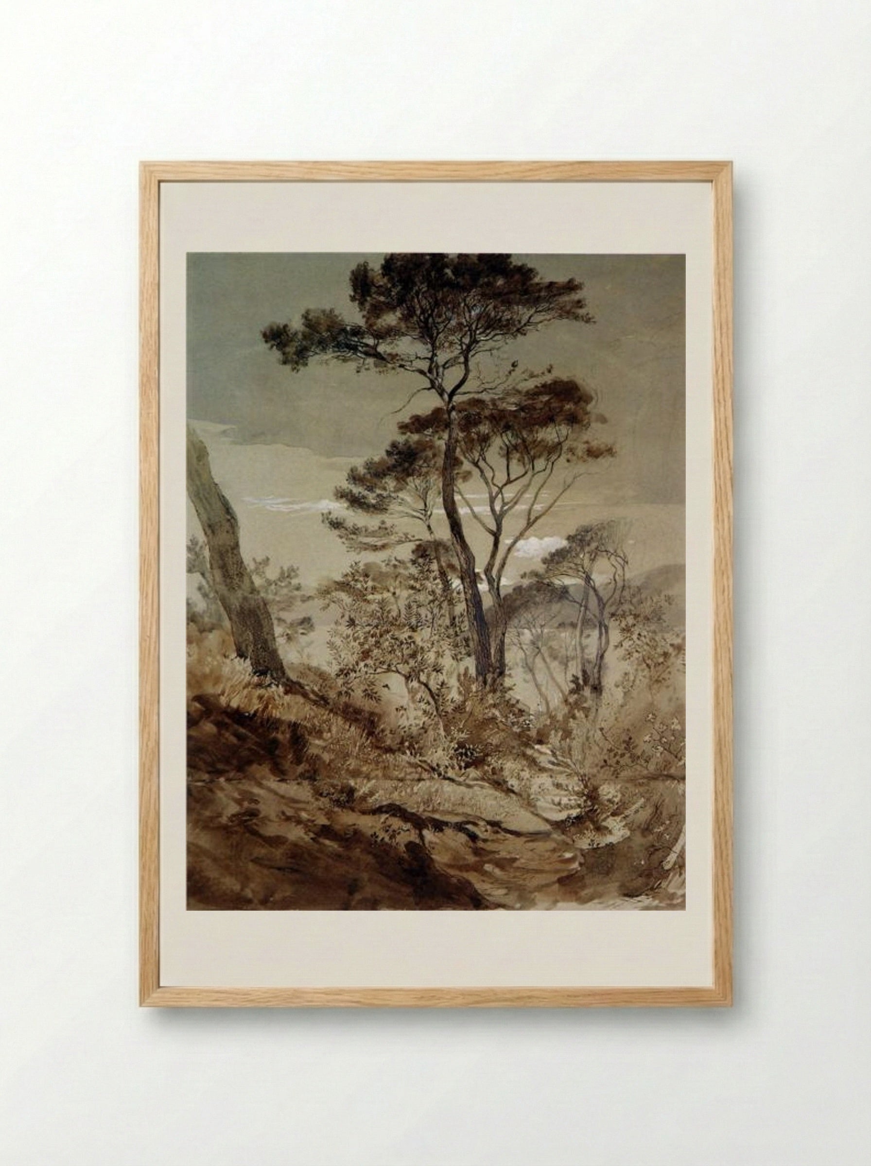 Stone Pines at Sestri - John Ruskin - Framed Print Wood