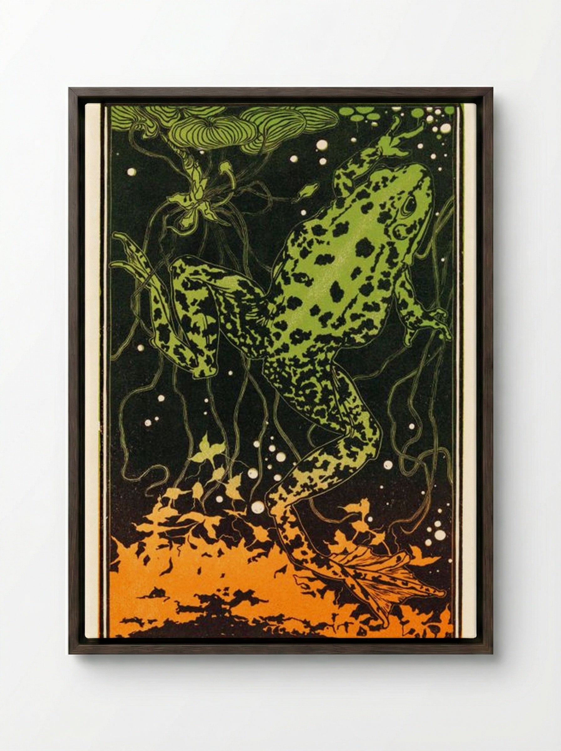 Swimming Frog - Julie de Graag - Framed Canvas Dark Wood