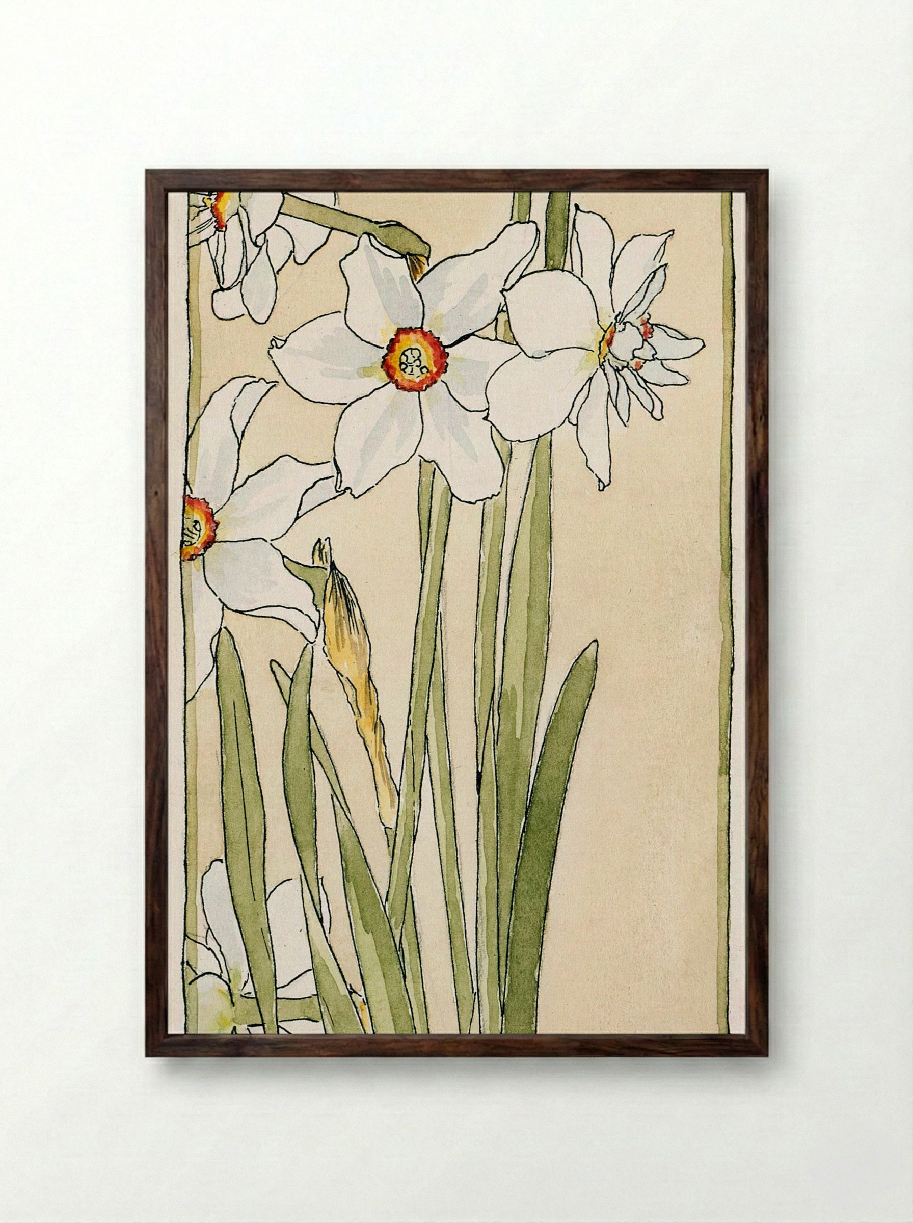 Poet's Narcissus (1915) - Hannah Borger Overbeck - Framed Print Dark Wood