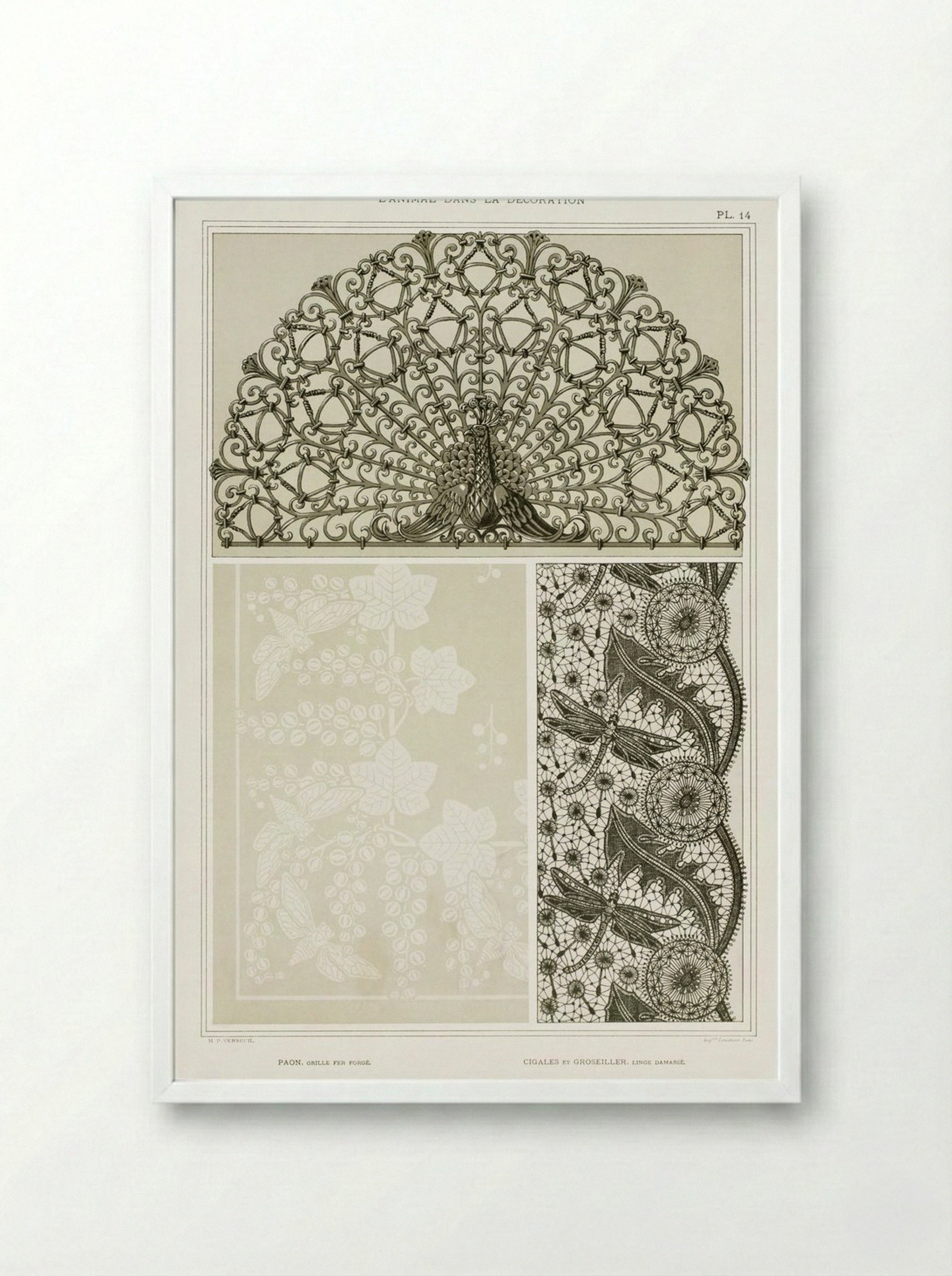 L'Animal dans la Décoration, Plate 14 (Peacock, Cicadas, Dragonflies) - Maurice Pillard Verneuil - Framed Print White