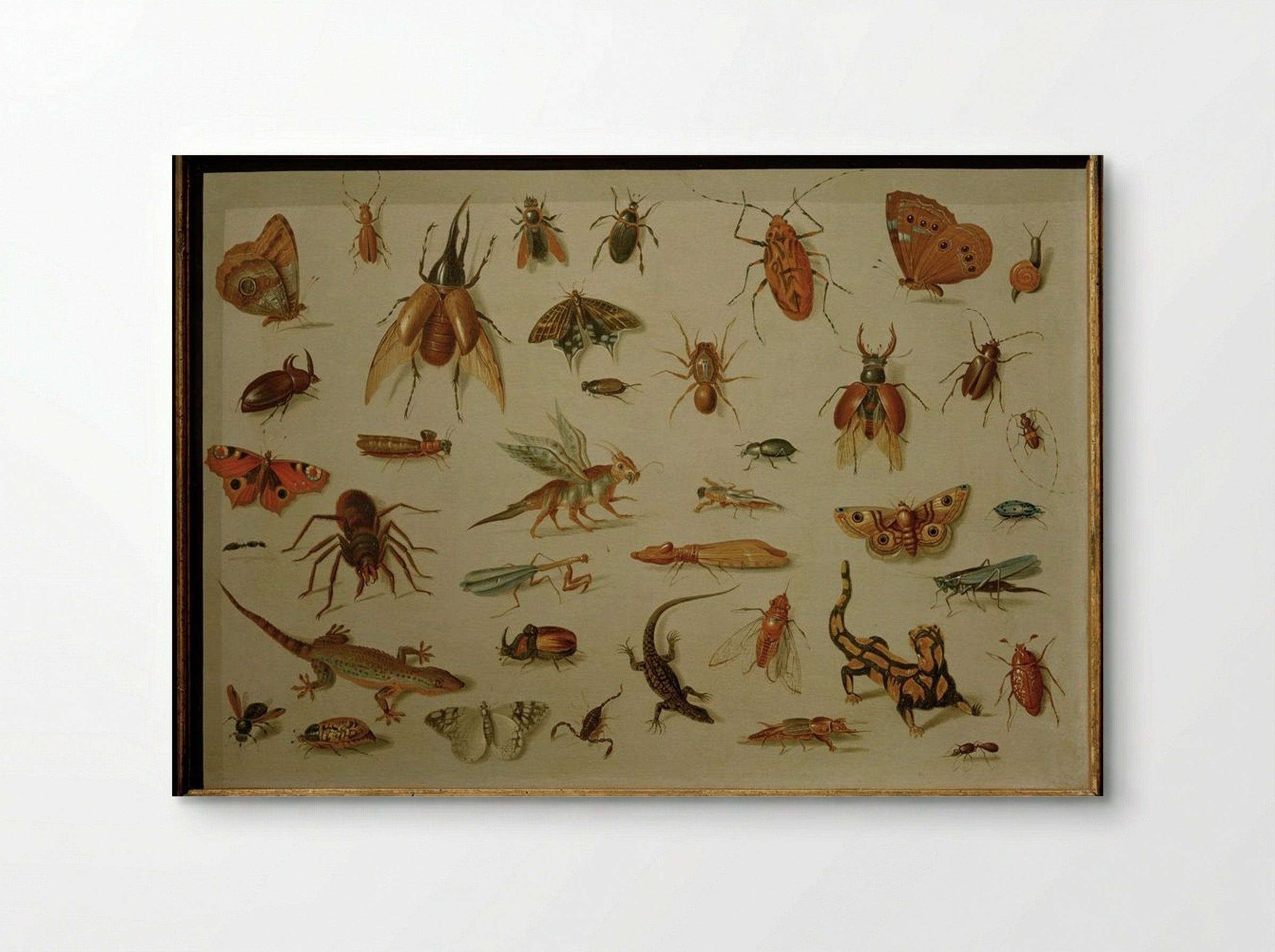 Insects and Reptiles - Jan van Kessel the Elder - Poster