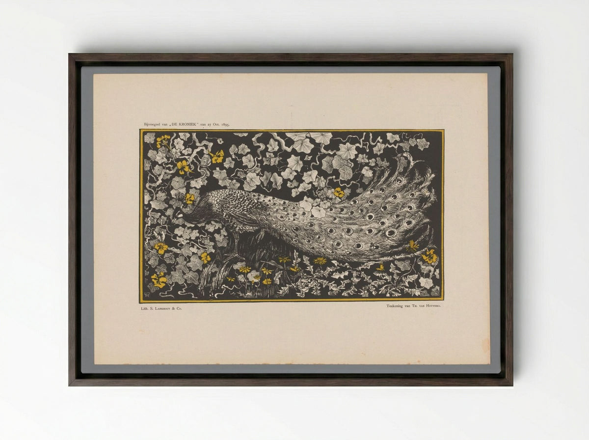 Pauw (Peacock Design) - Theo van Hoytema - Framed Canvas Dark Wood