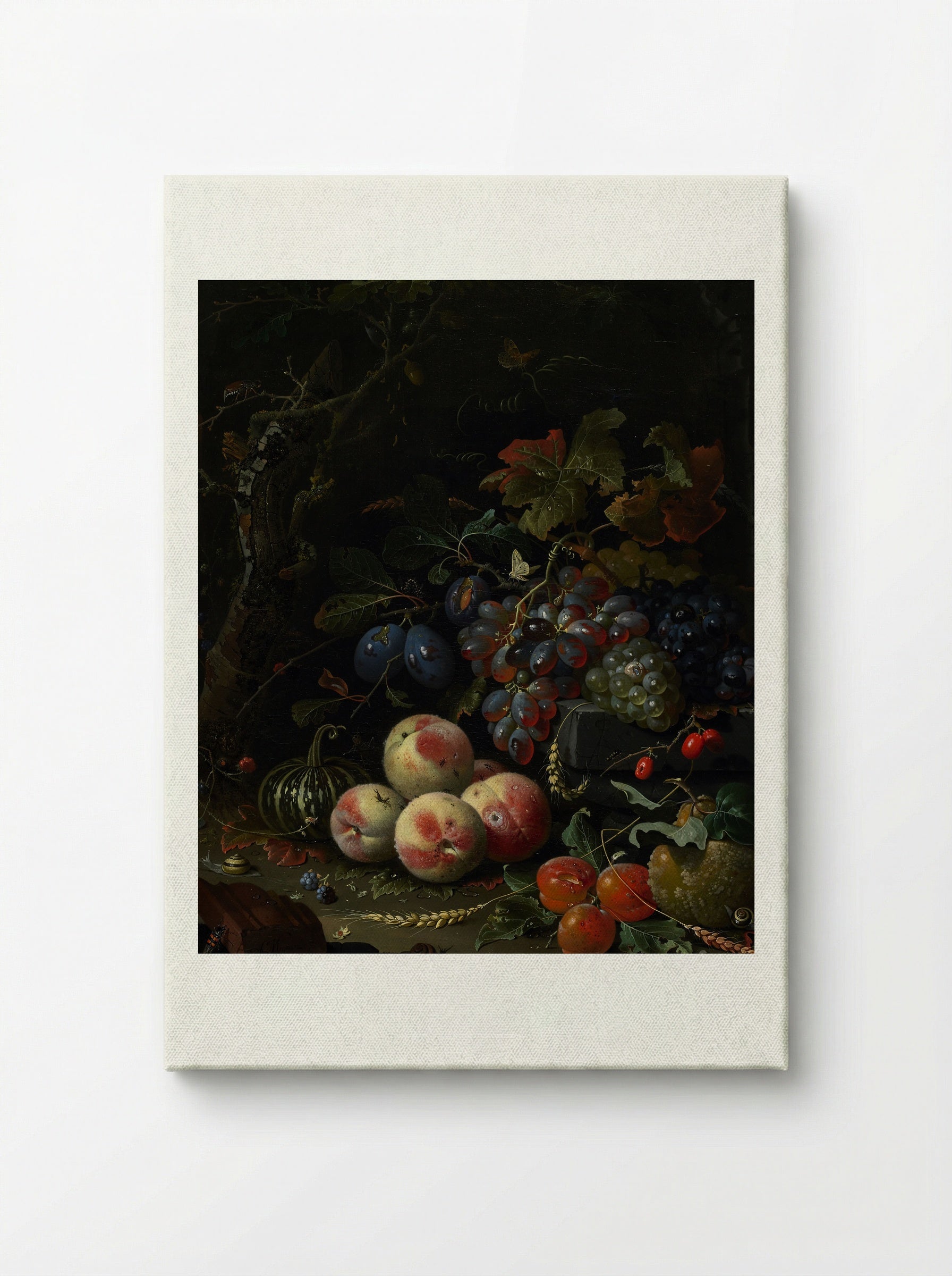 Still Life with Fruit, Foliage, and Insects - Abraham Mignon - Canvas