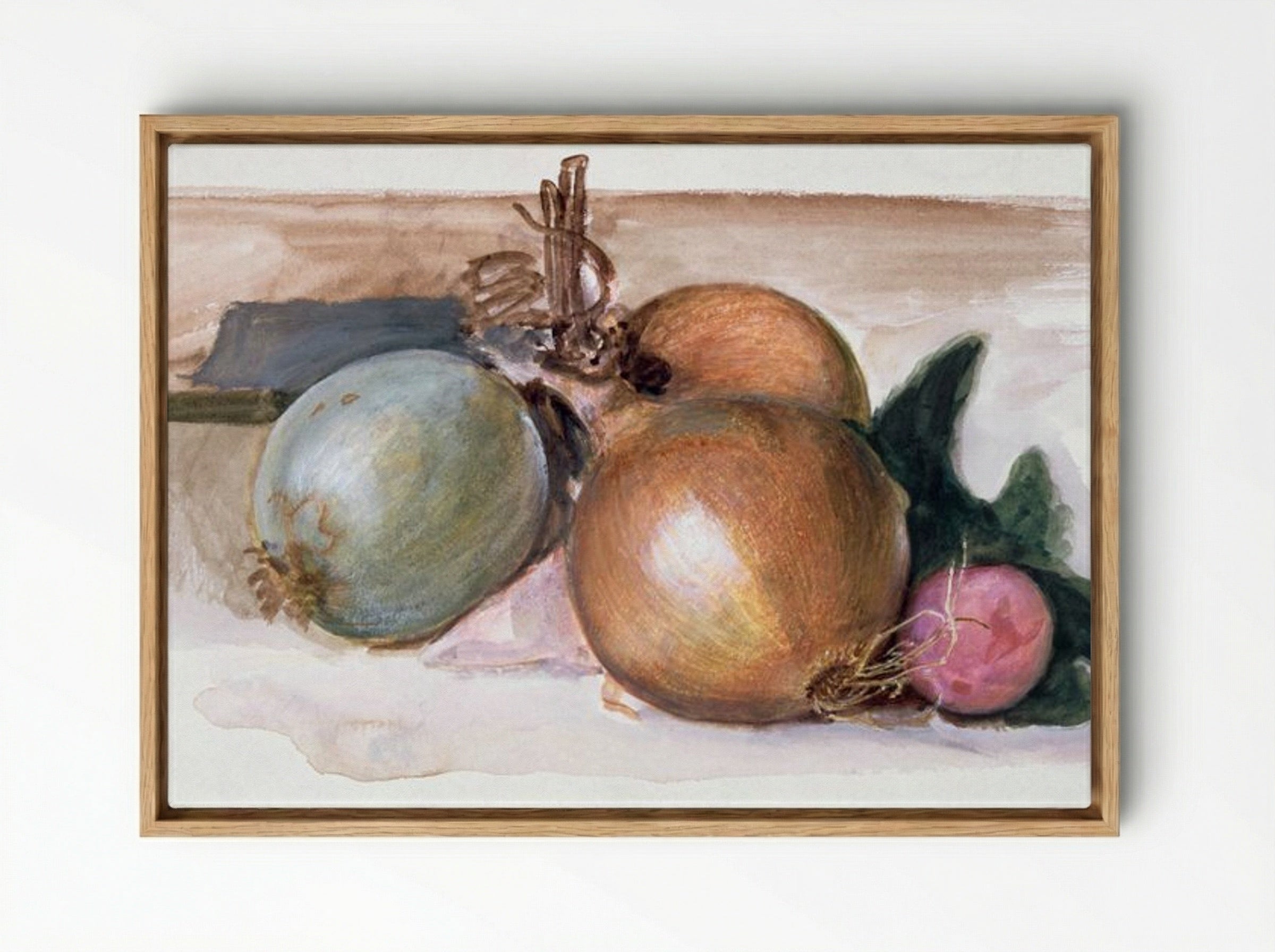 Still-Life - Study of Onions - Edward Burne-Jones - Framed Canvas Wood