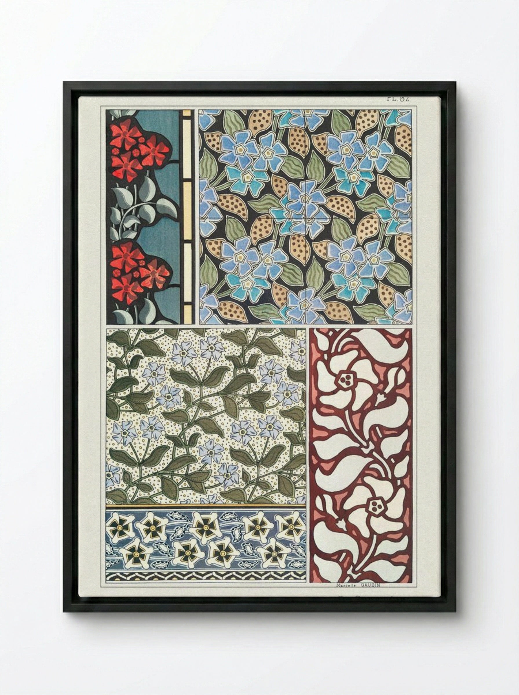 Pervenche (Periwinkle) from La Plante et ses Applications ornementales - Maurice Pillard Verneuil - Framed Canvas Black