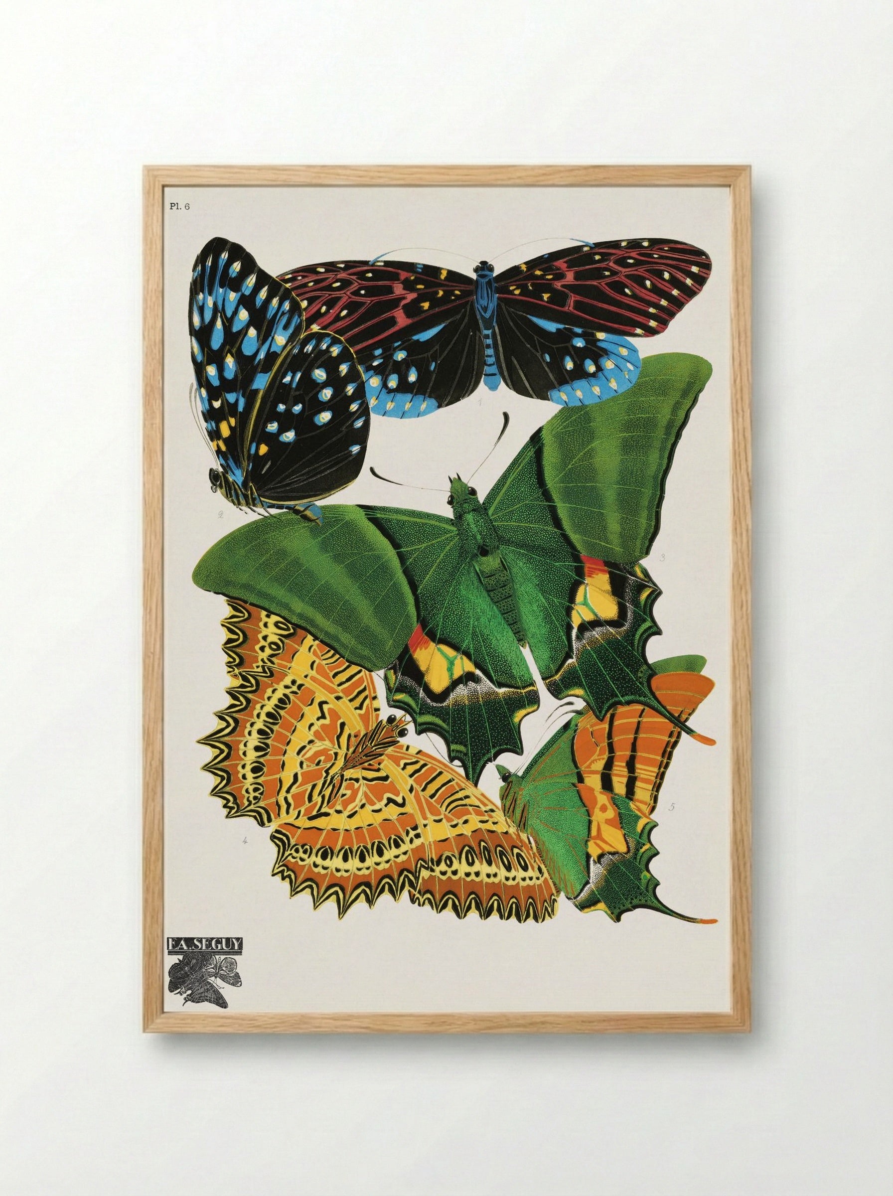Butterflies, Plate 6 - Eugène Alain Séguy - Framed Print Wood
