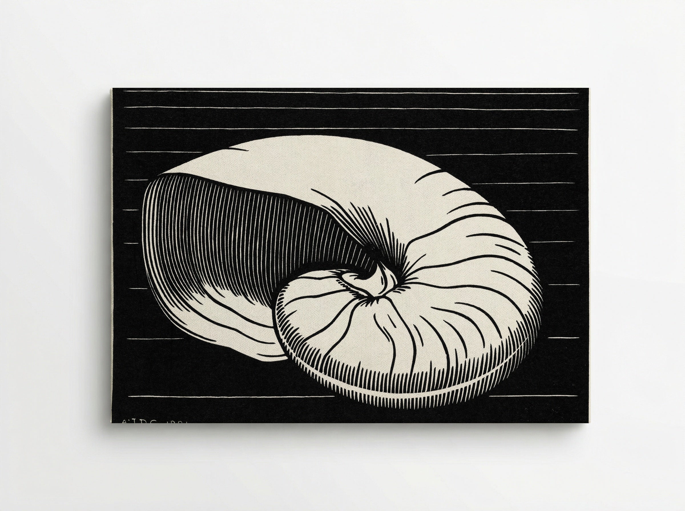 Shell - Julie de Graag - Canvas