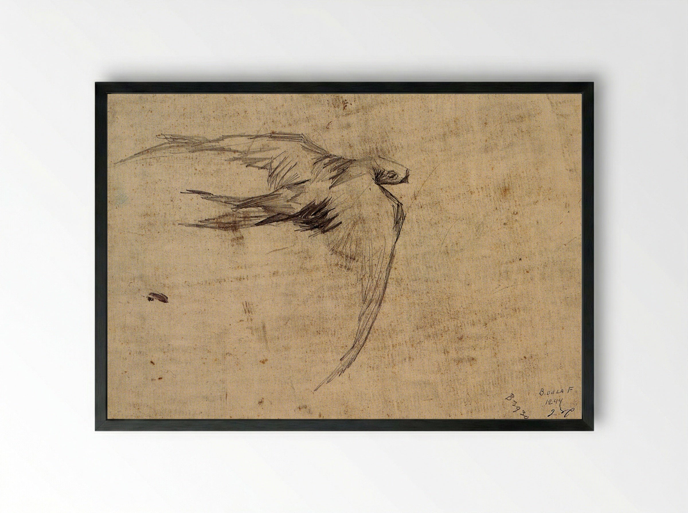 Study of a Swift in Flight - Leonardo da Vinci - Framed Print Black