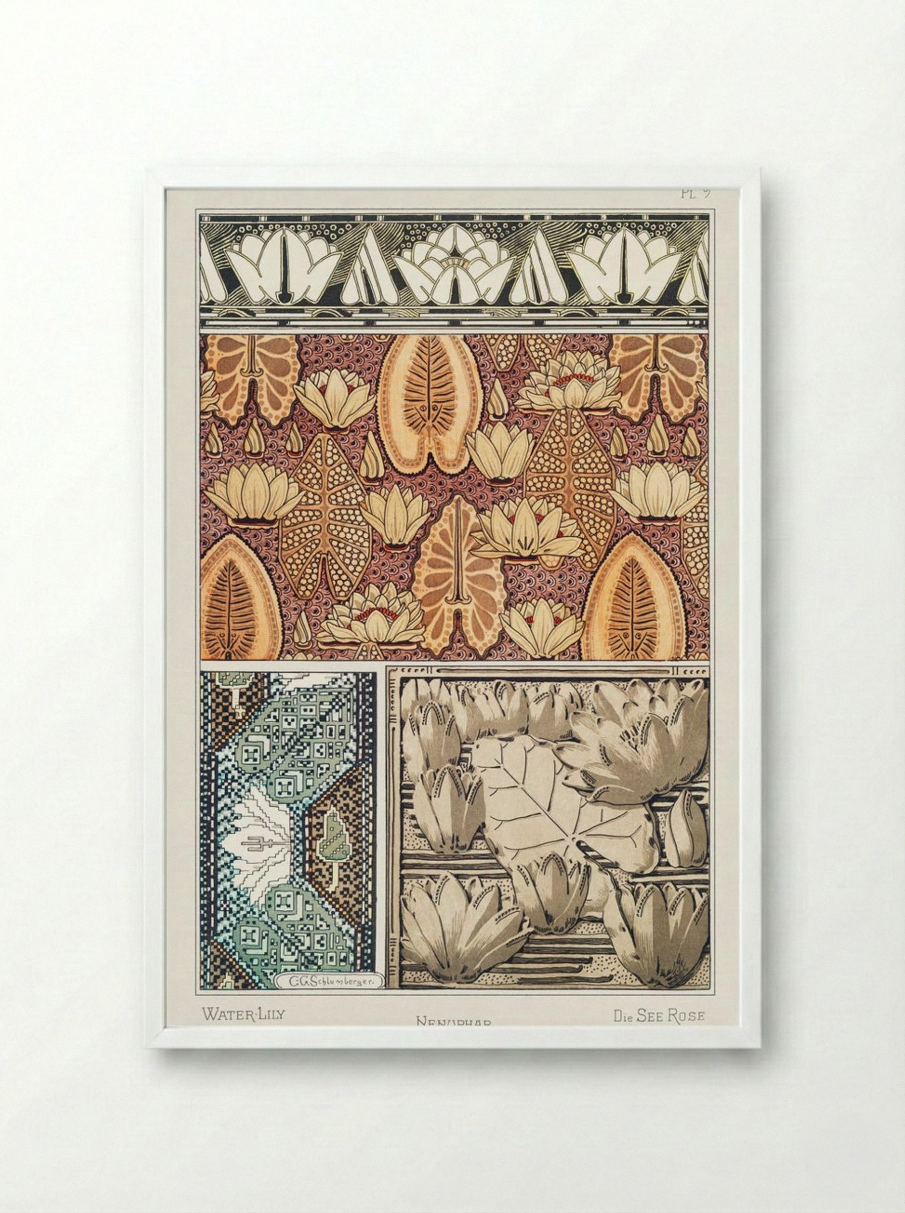 Nénuphar (Water Lilies) from La Plante et ses Applications ornementales - Maurice Pillard Verneuil - Framed Print White