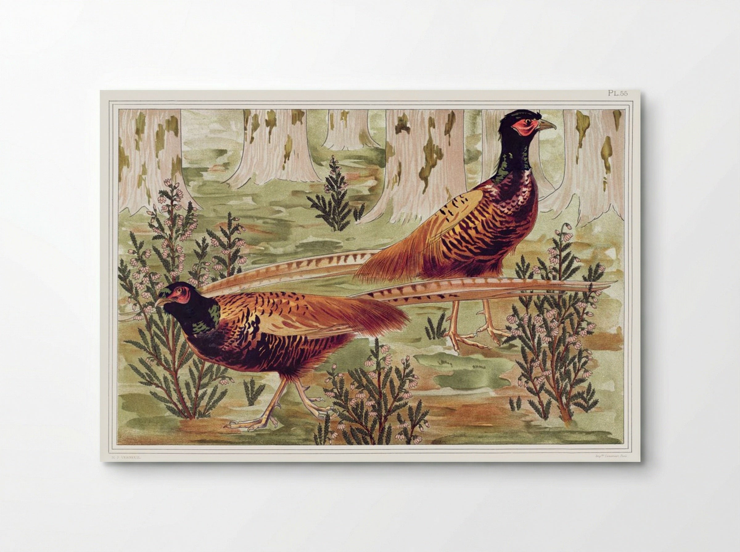 Faisans Ordinaires (Common Pheasants) - Maurice Pillard Verneuil - Poster
