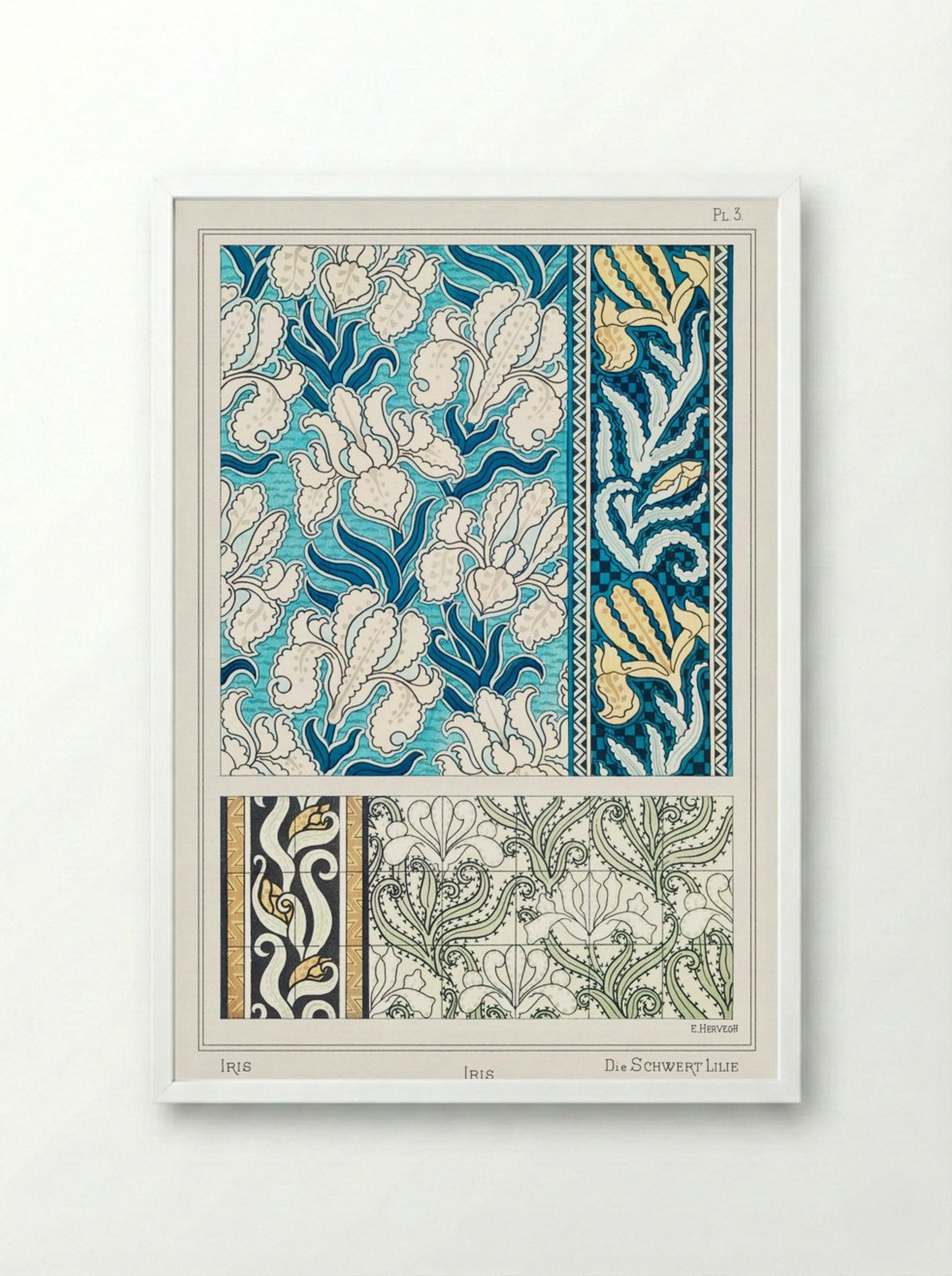 Iris, from La Plante et ses Applications ornementales - Maurice Pillard Verneuil - Framed Print White