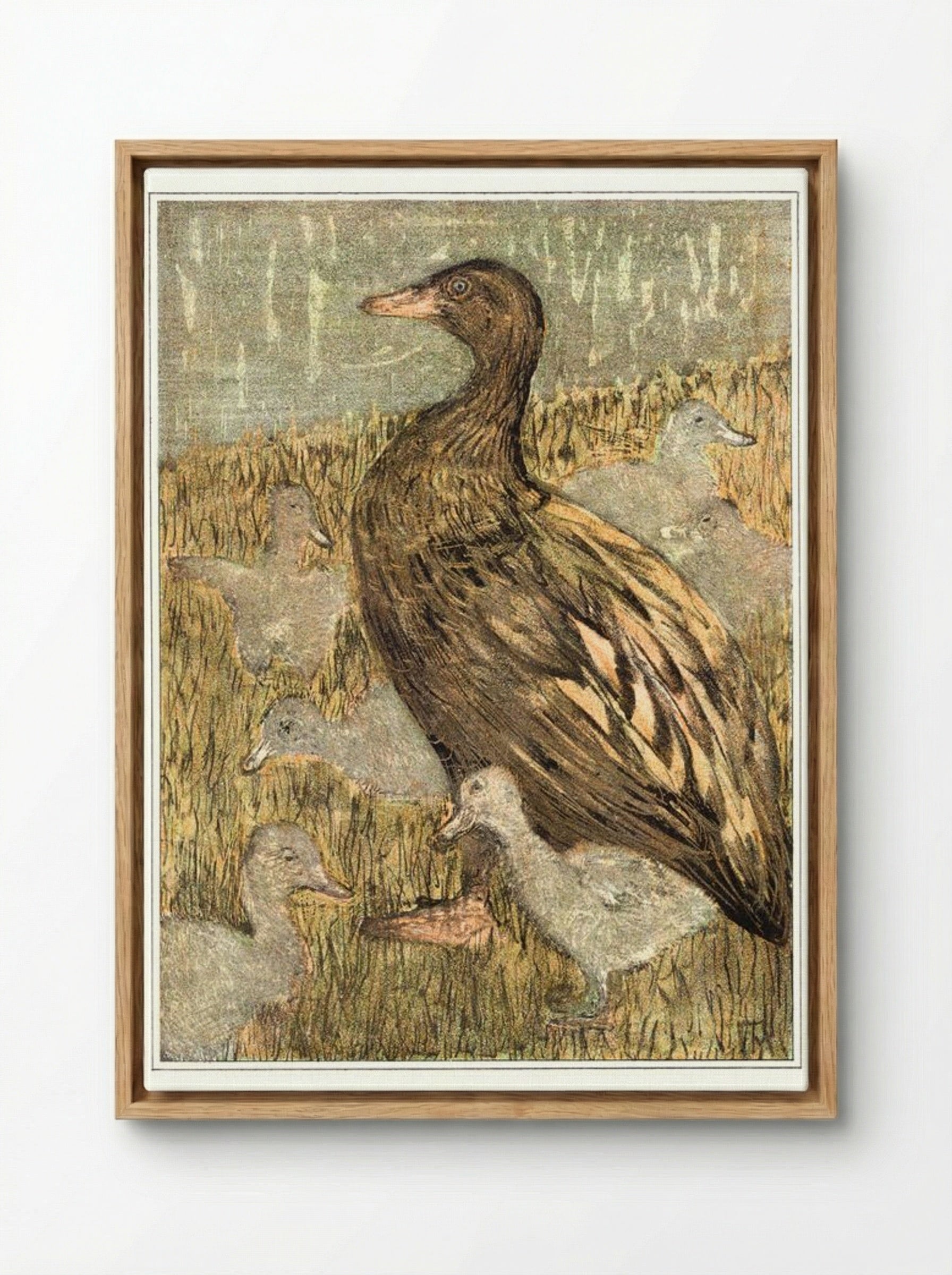 Duck with Ducklings by the Waterside - Theo van Hoytema - Framed Canvas Wood