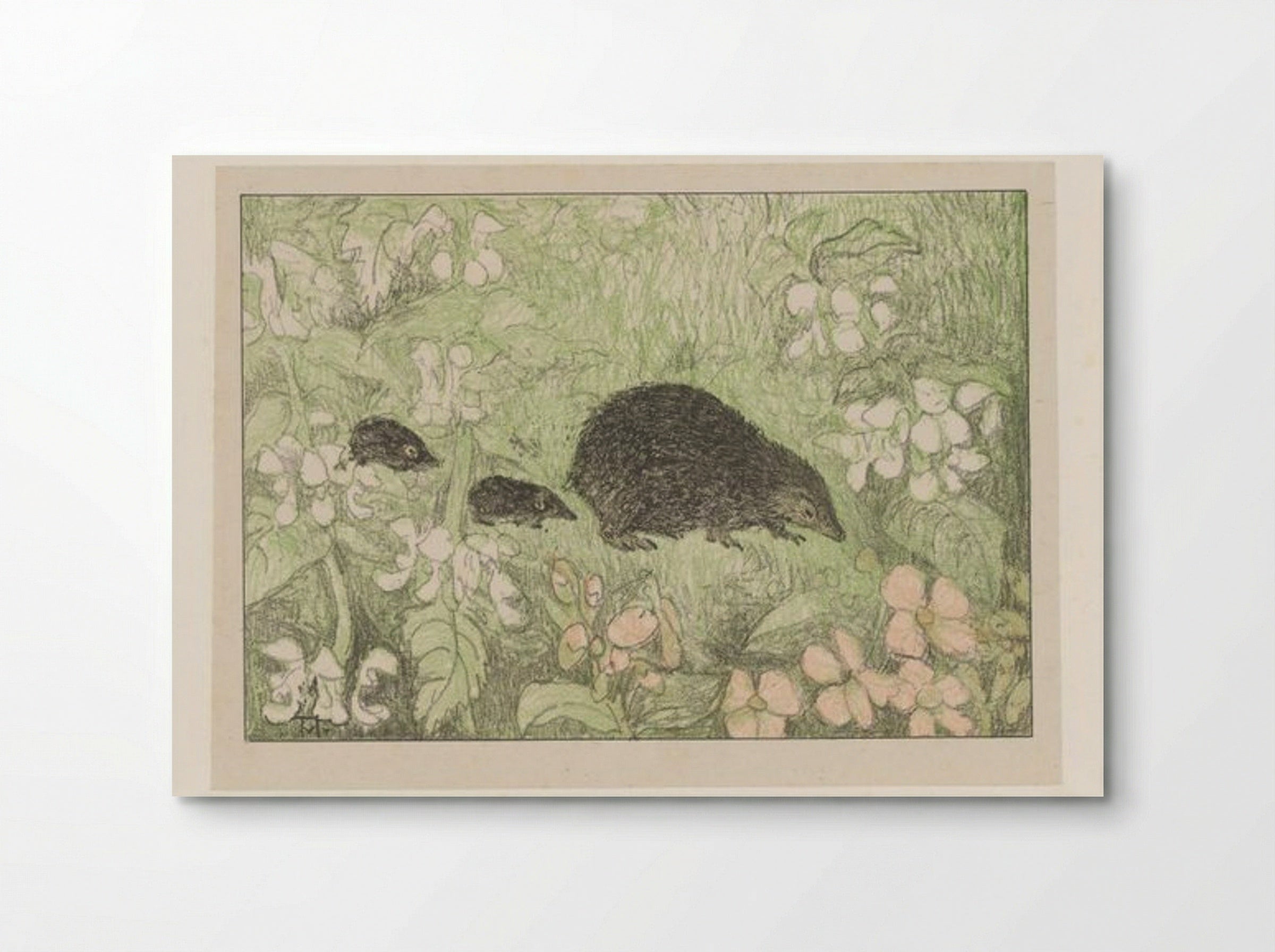 Hedgehog with Young - Theo van Hoytema - Poster