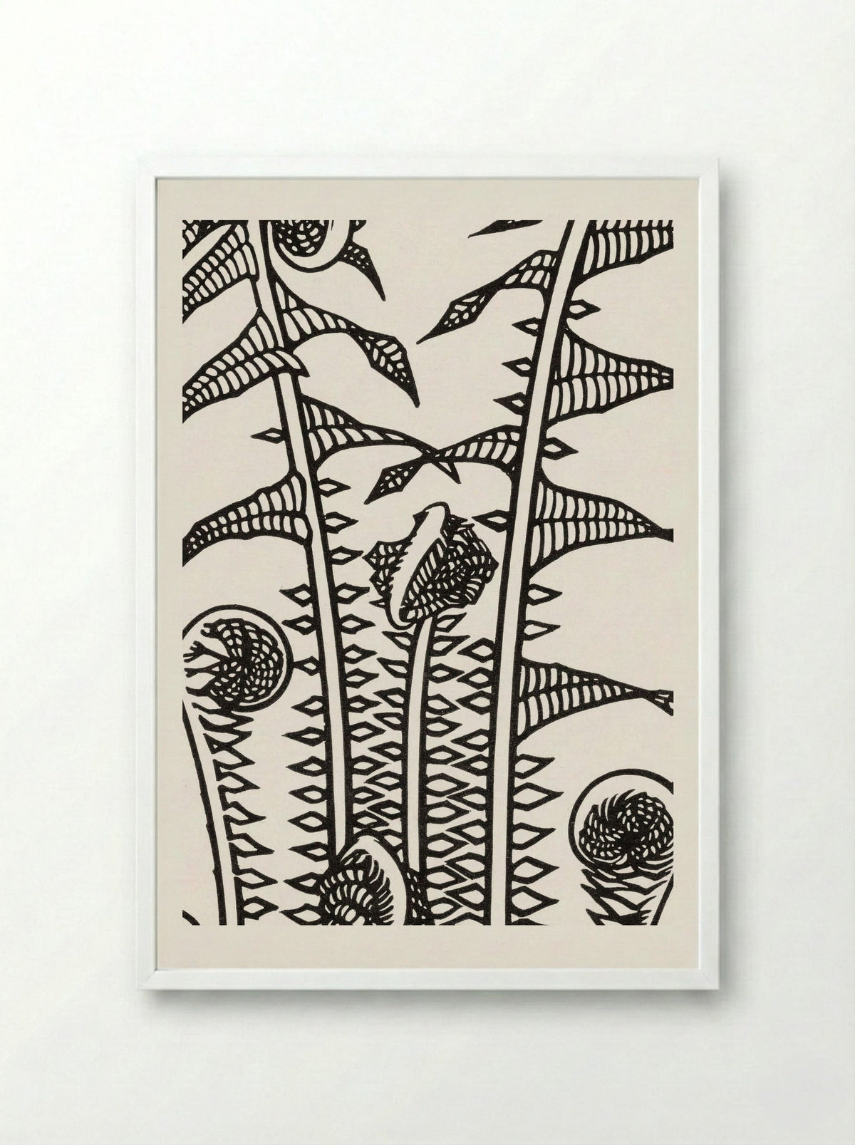 Ferns - Julie de Graag - Framed Print White