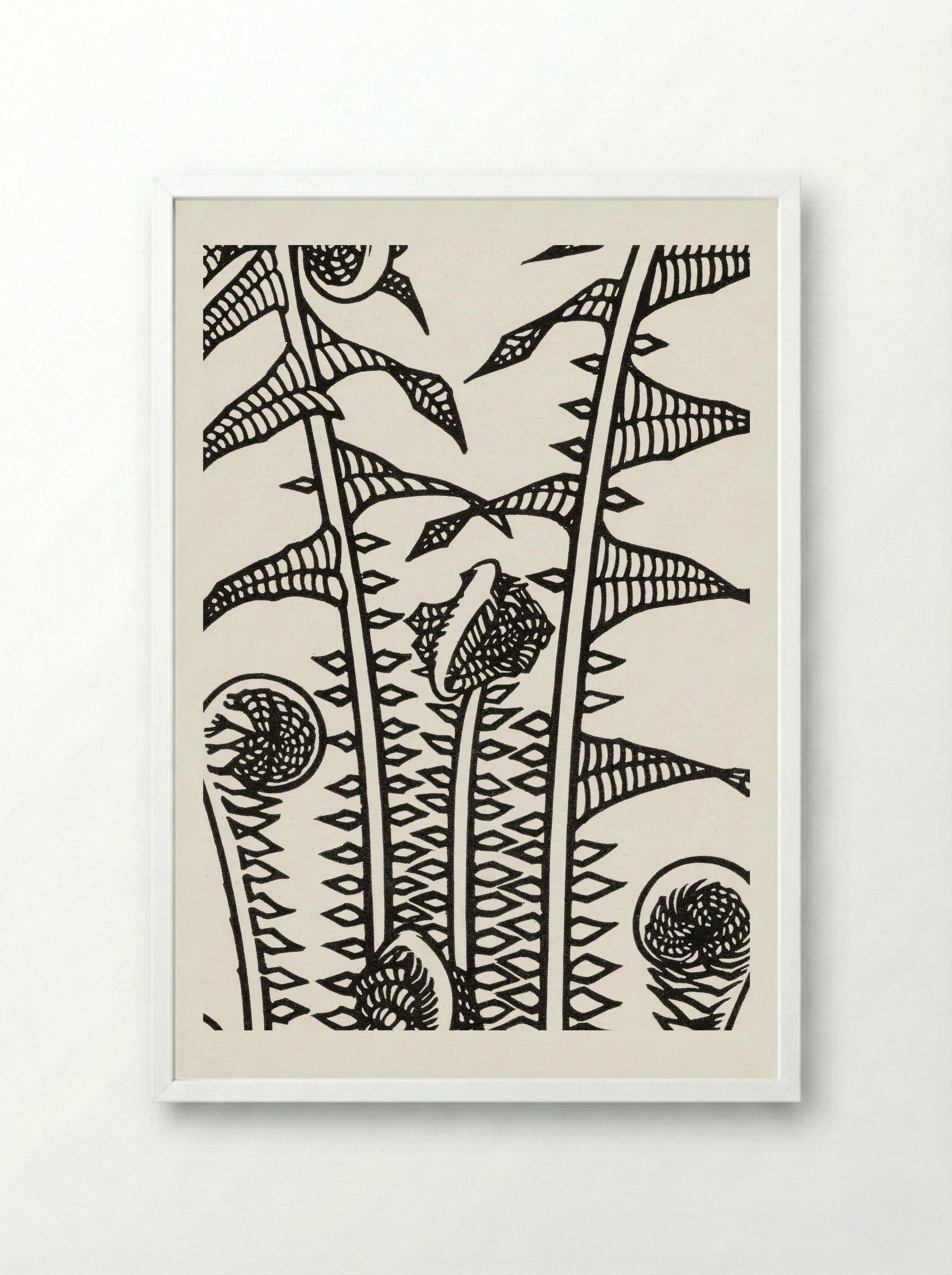 Ferns - Julie de Graag - Framed Print White