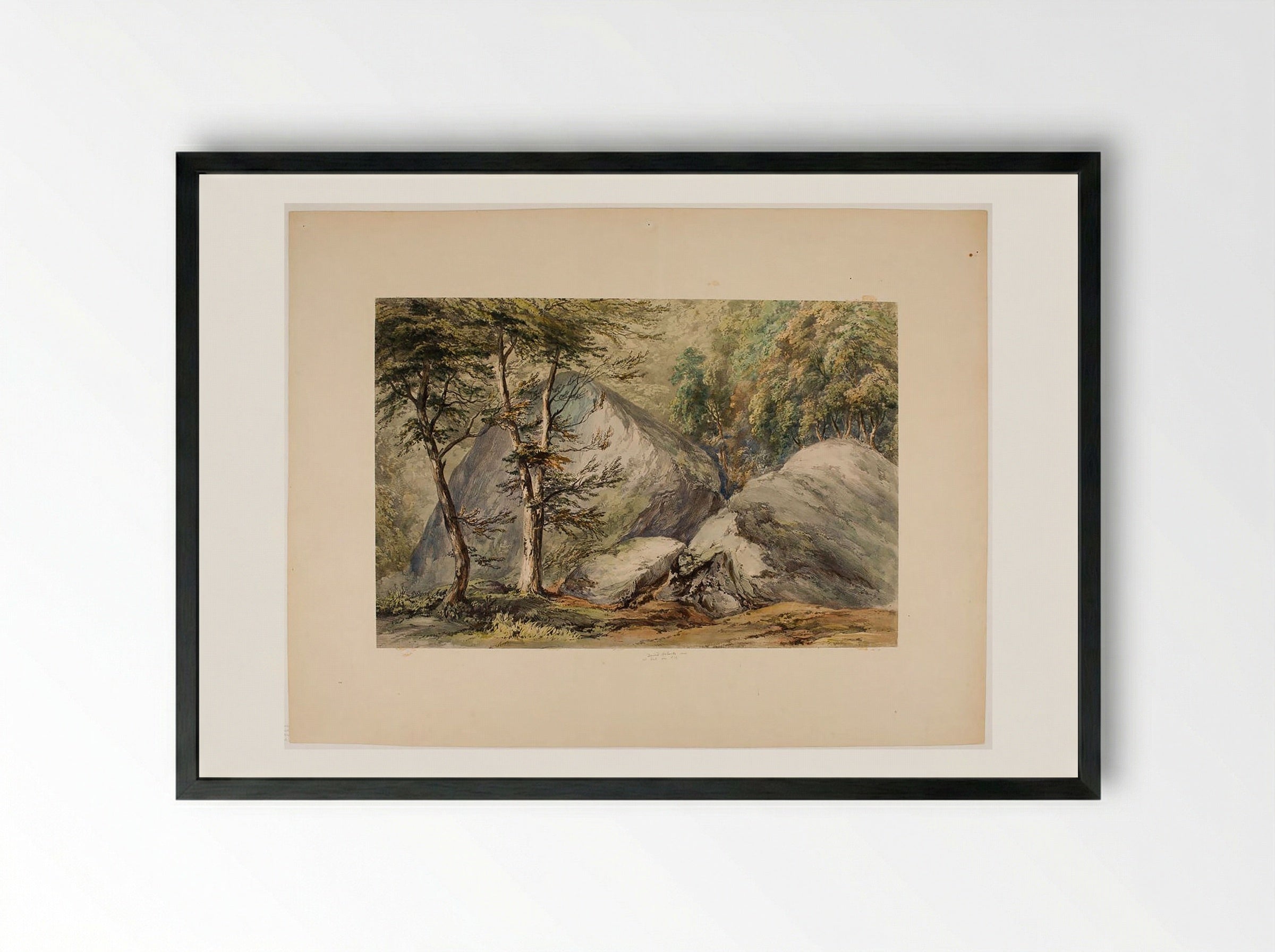 Study of Rocks and Trees - David Roberts - Framed Print Black