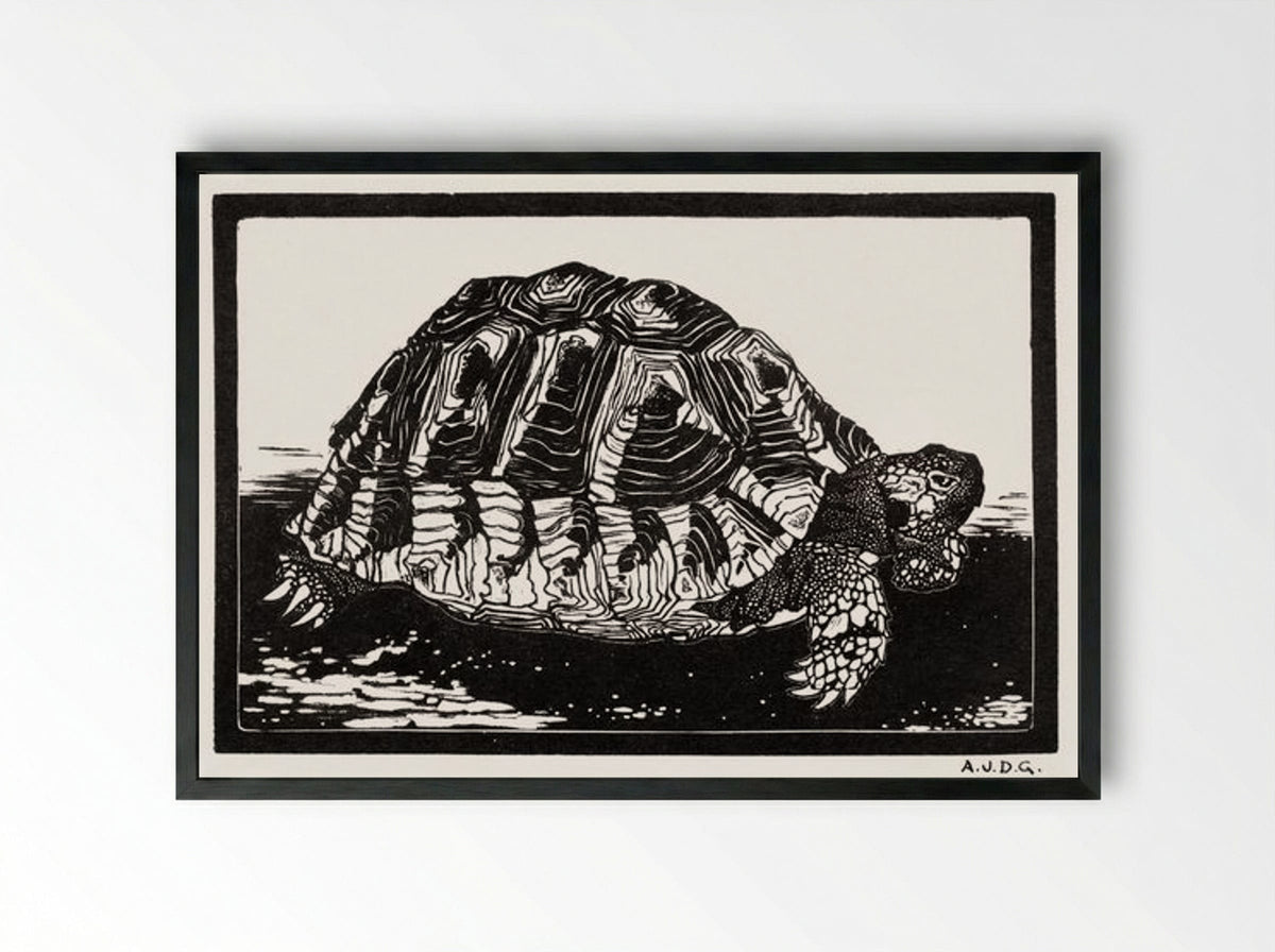 Turtle - Julie de Graag - Framed Print Black