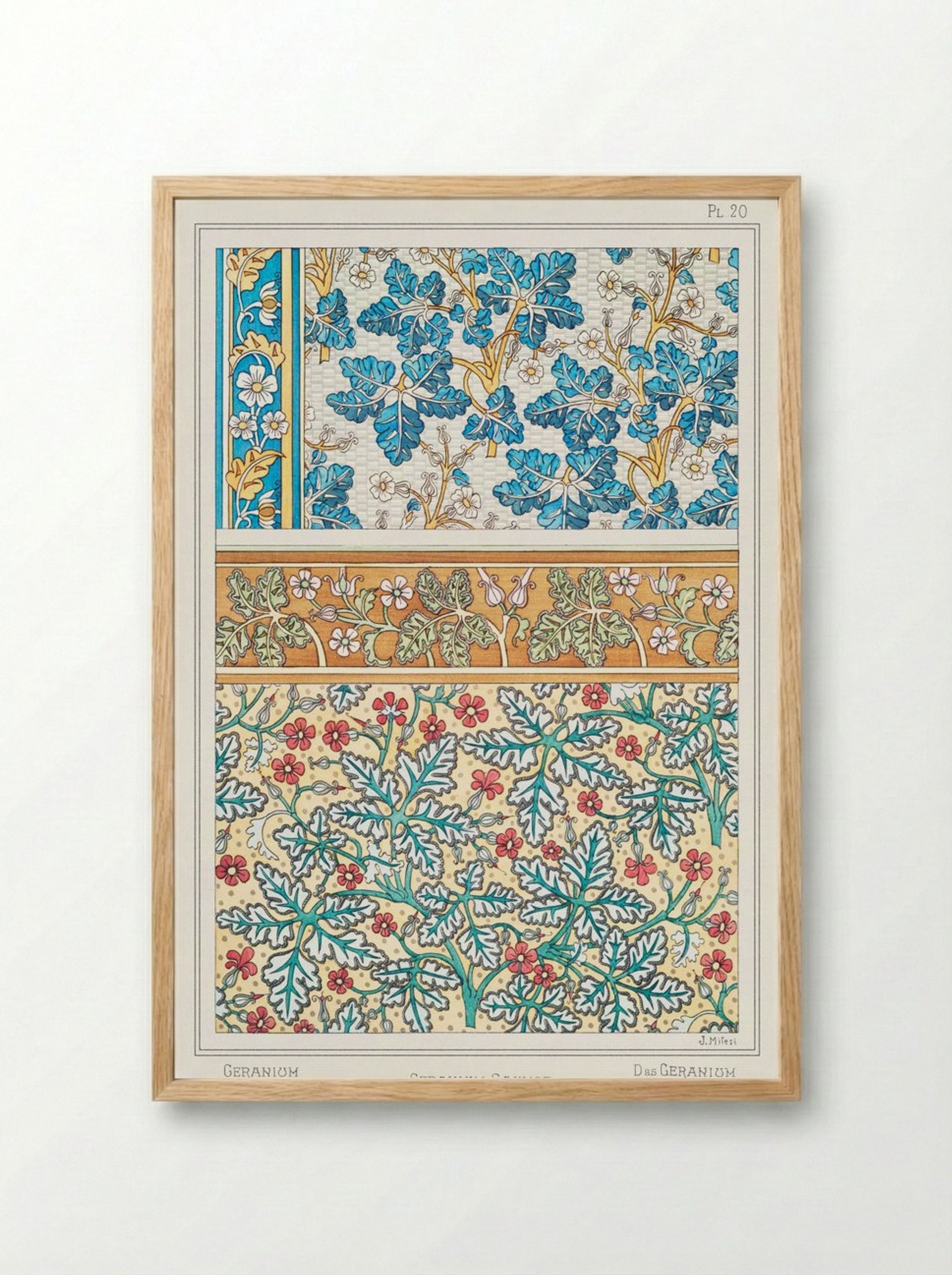 Geranium sauvage (Geranium, Plate 20) - Maurice Pillard Verneuil - Framed Print Wood