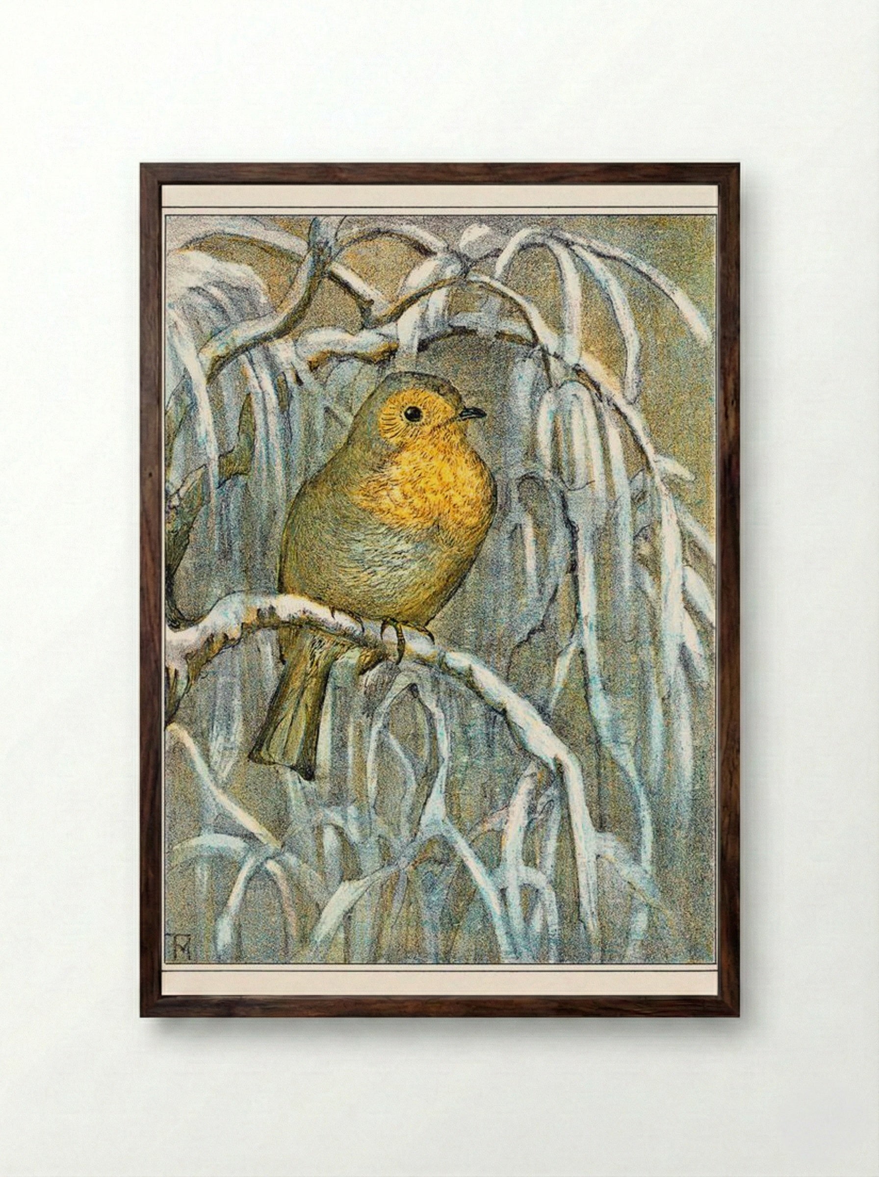 Robin on Snowy Branch - Theo van Hoytema - Framed Print Dark Wood