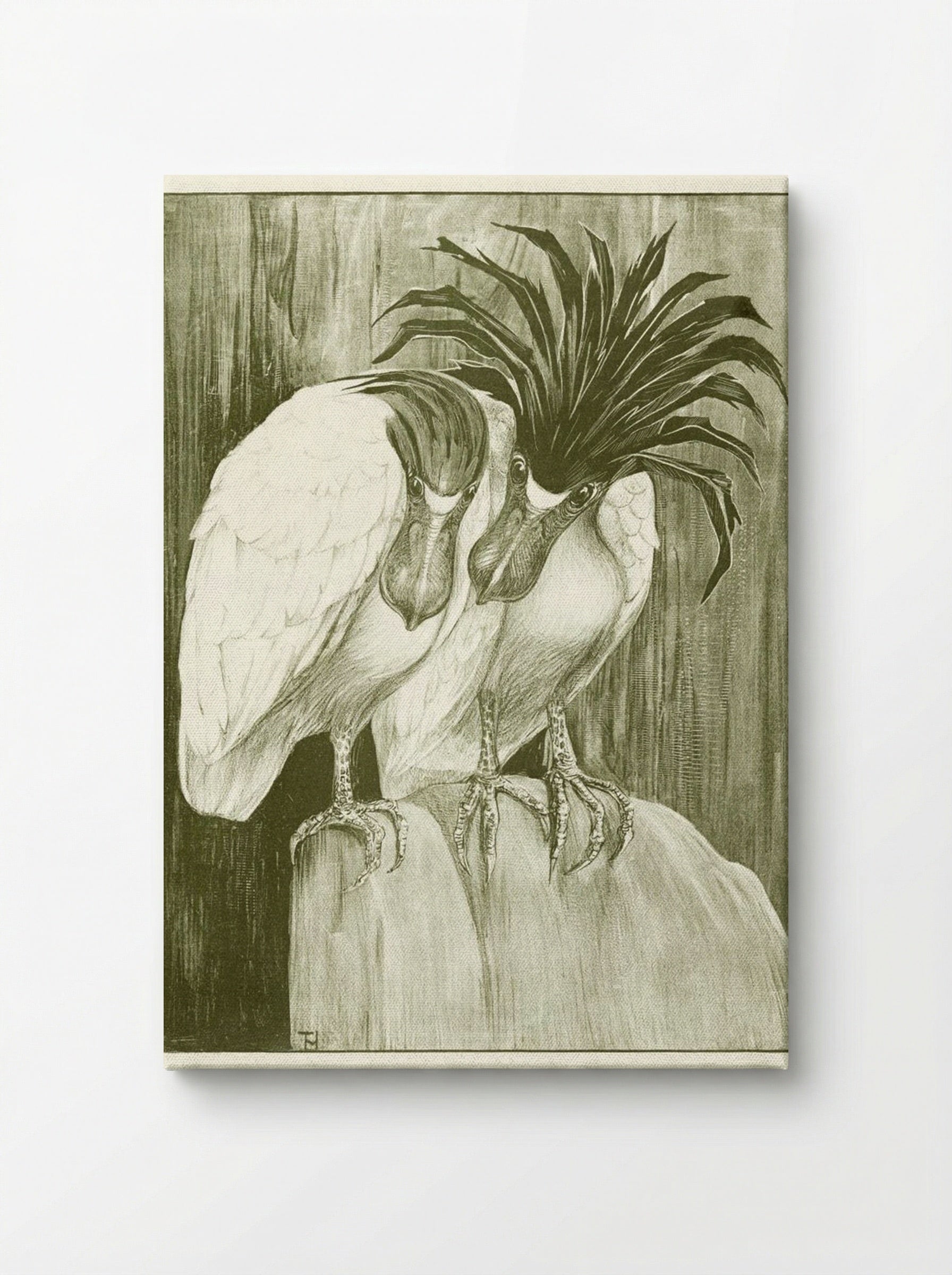 Two Boat-billed Herons - Theo van Hoytema - Canvas