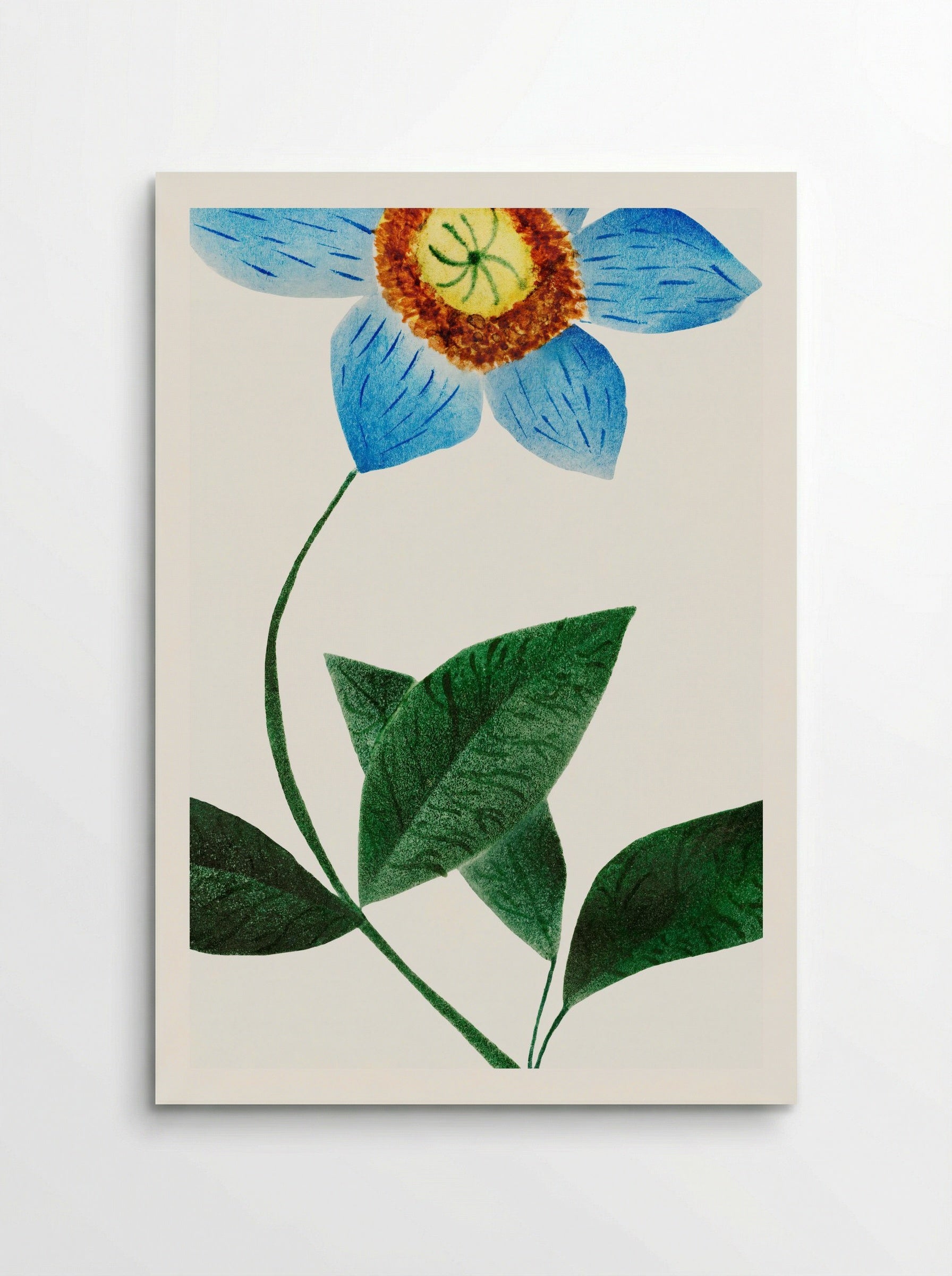 Star Flower - Mary Altha Nims - Poster