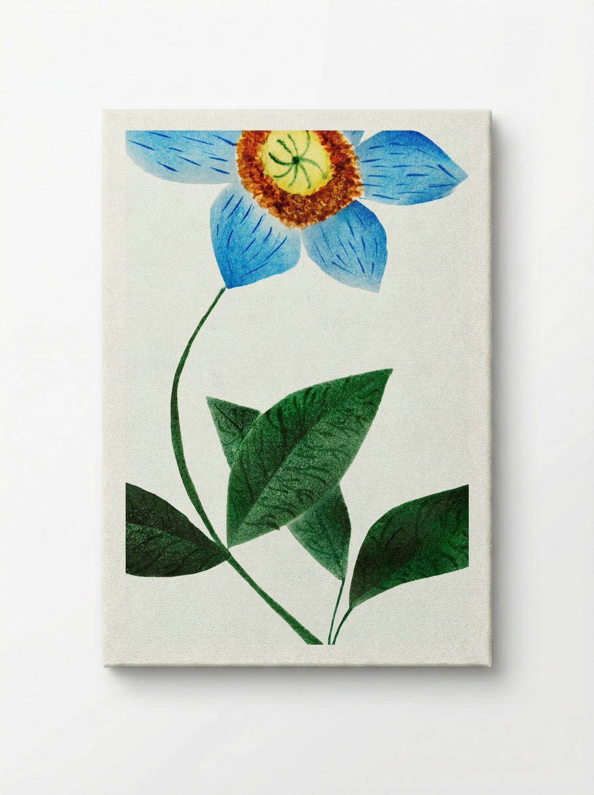 Star Flower - Mary Altha Nims - Canvas