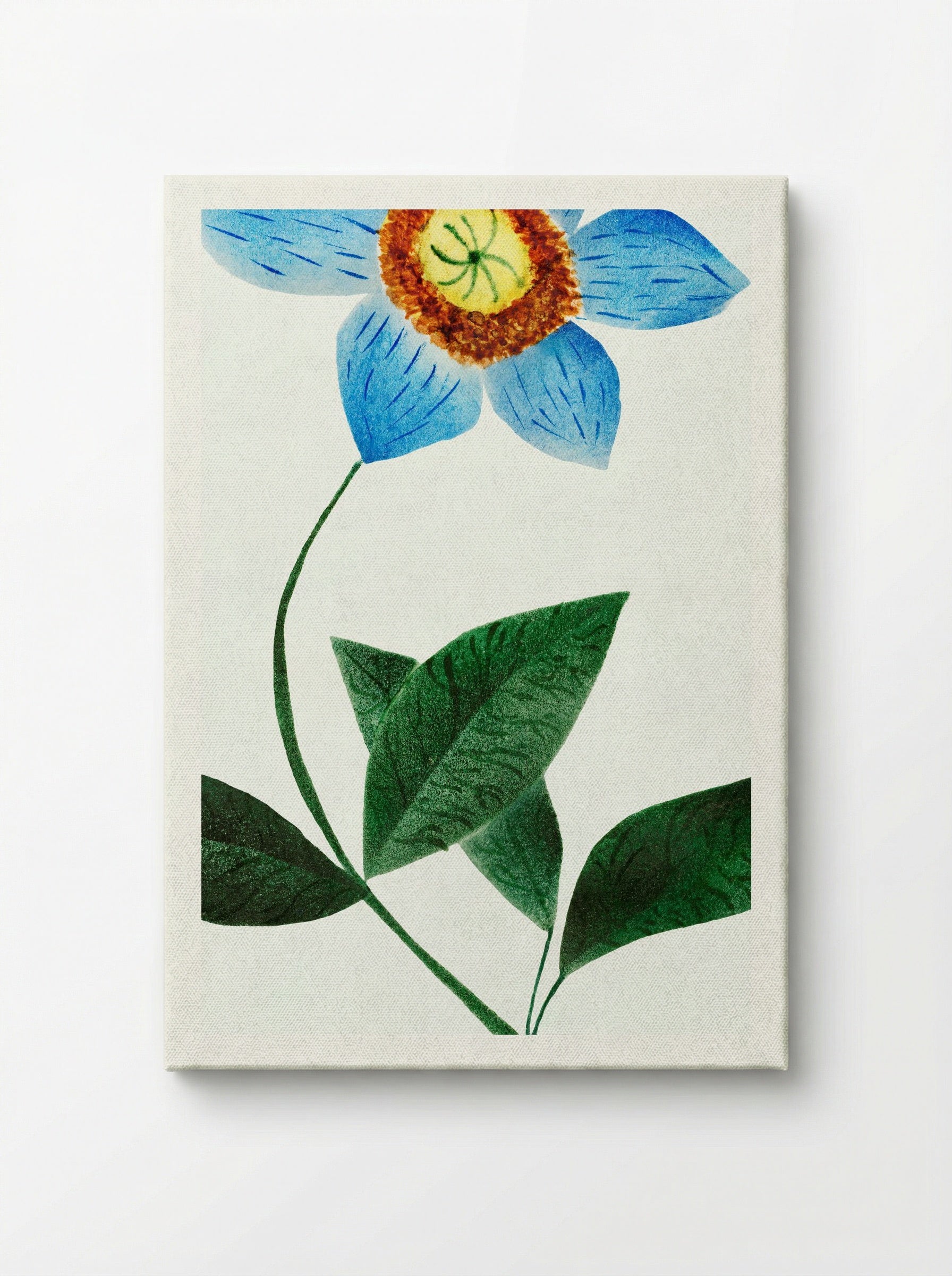 Star Flower - Mary Altha Nims - Canvas