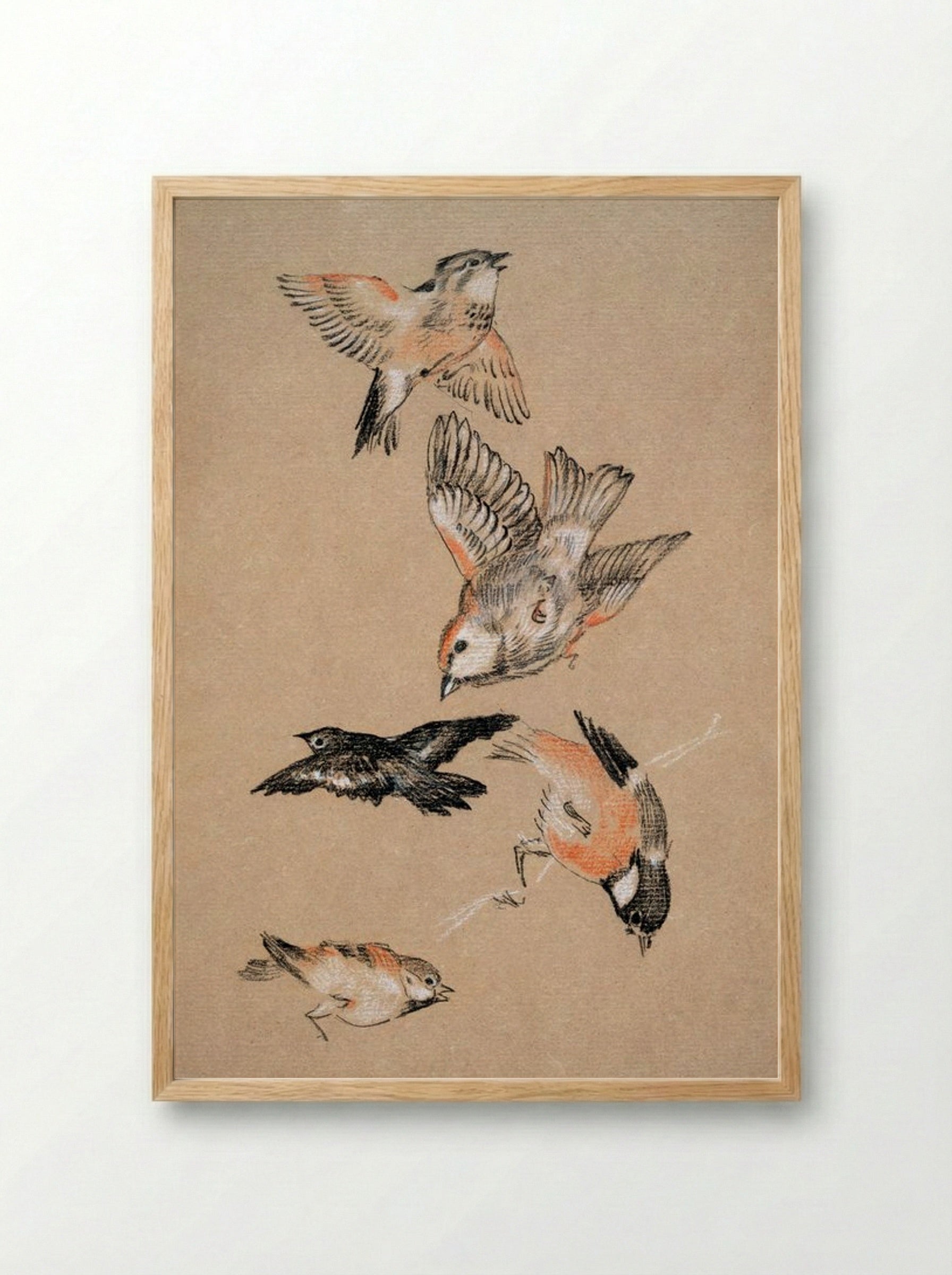 Study of Finches (for 'Love Leading the Pilgrim') - Edward Burne-Jones - Framed Print Wood