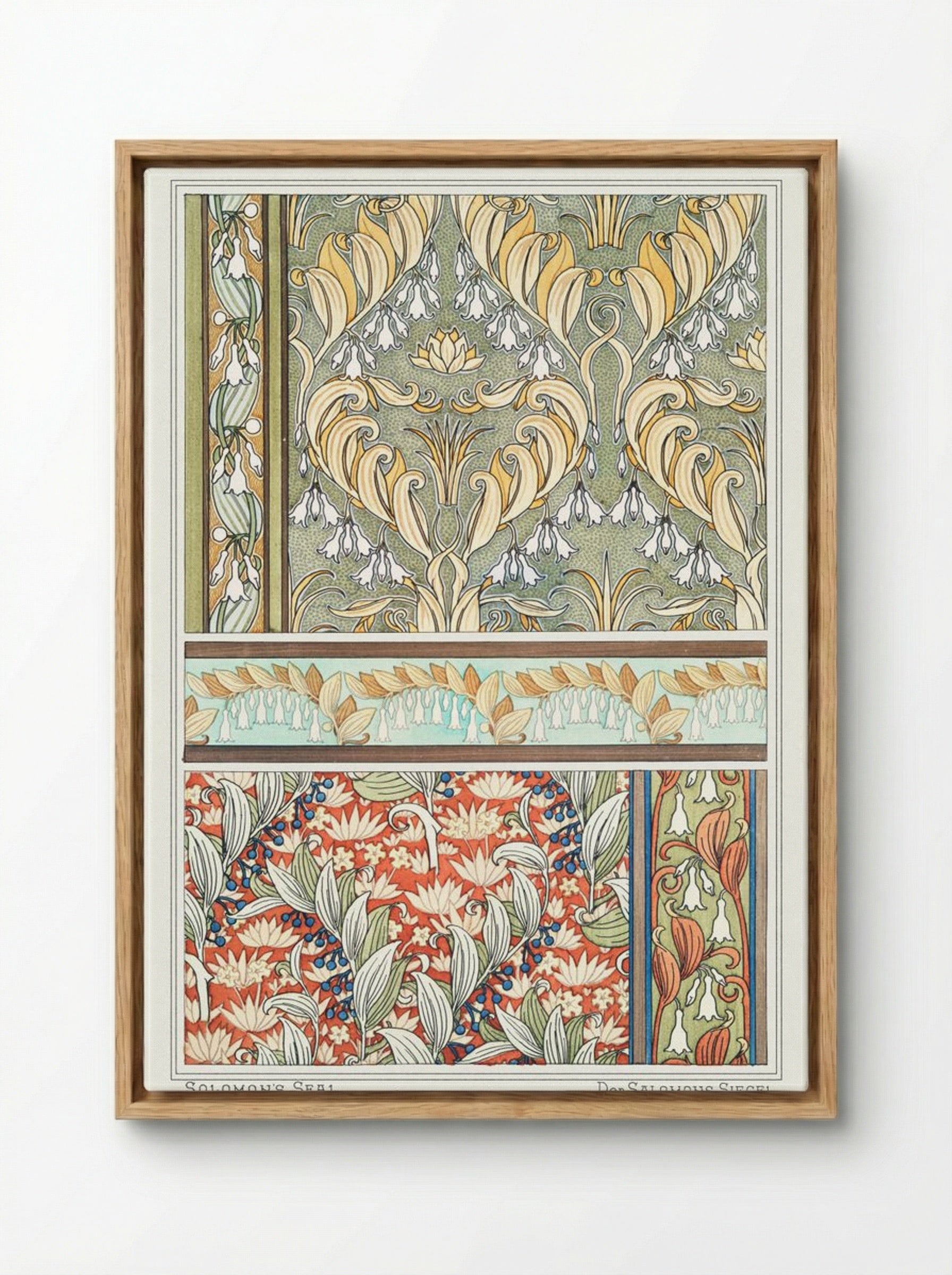 Sceau de Salomon (Solomon's Seal) from La Plante et ses Applications ornementales - Maurice Pillard Verneuil - Framed Canvas Wood