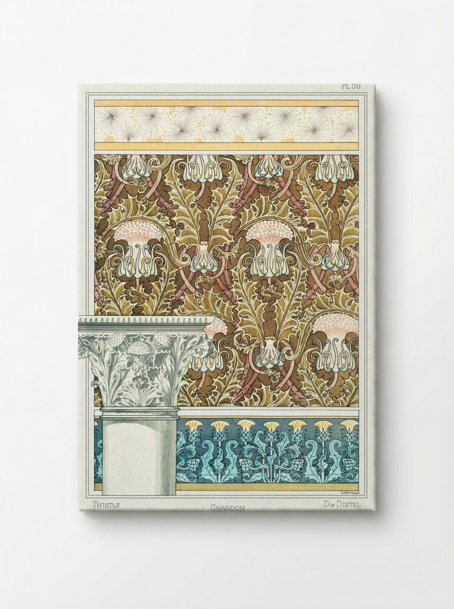 Chardon (Thistle) from La Plante et ses Applications ornementales - Maurice Pillard Verneuil - Canvas