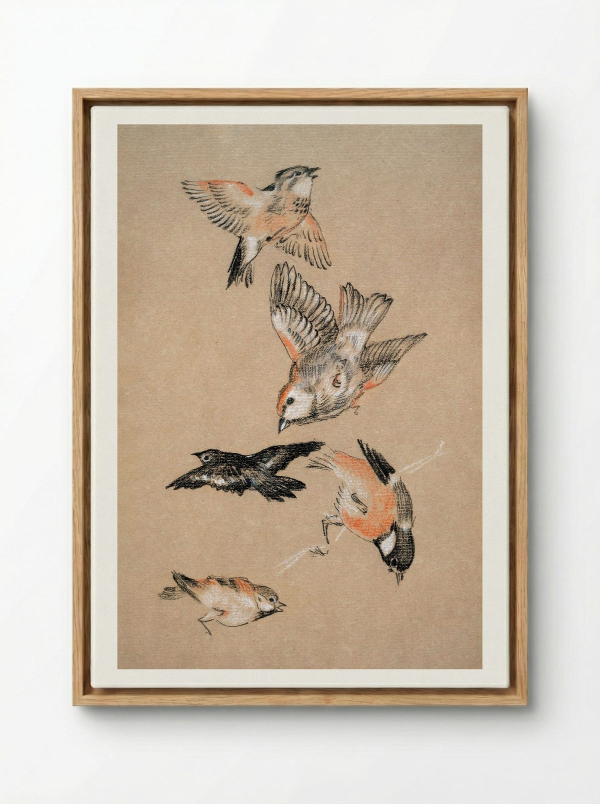 Study of Finches (for 'Love Leading the Pilgrim') - Edward Burne-Jones - Framed Canvas Wood