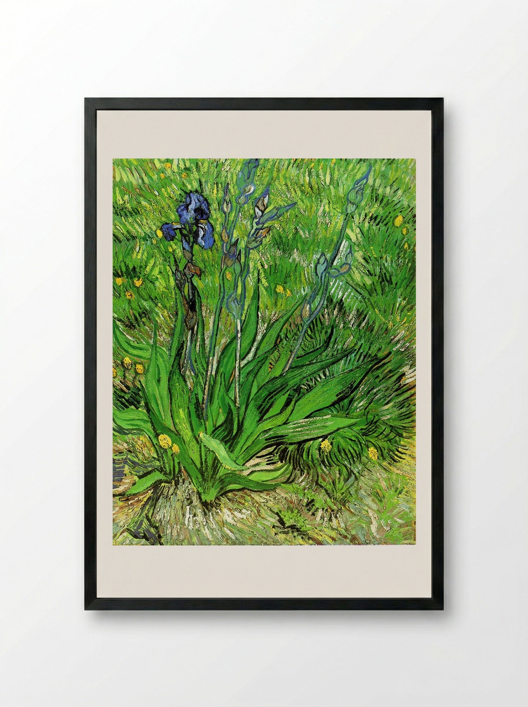 Irises - Vincent van Gogh - Framed Print Black