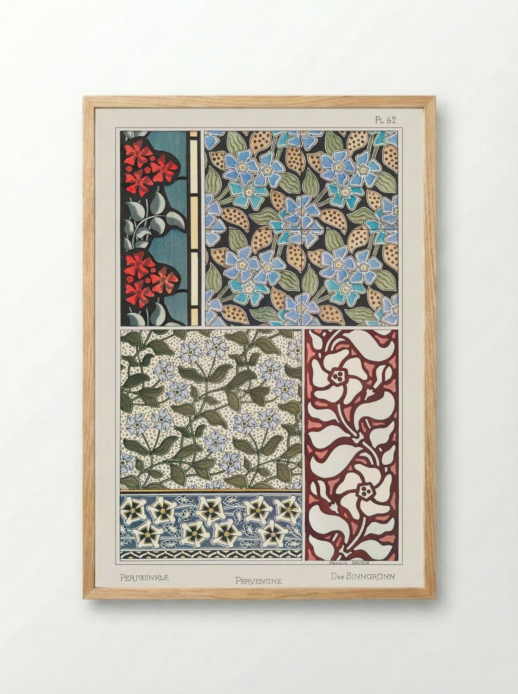 Pervenche (Periwinkle) from La Plante et ses Applications ornementales - Maurice Pillard Verneuil - Framed Print Wood