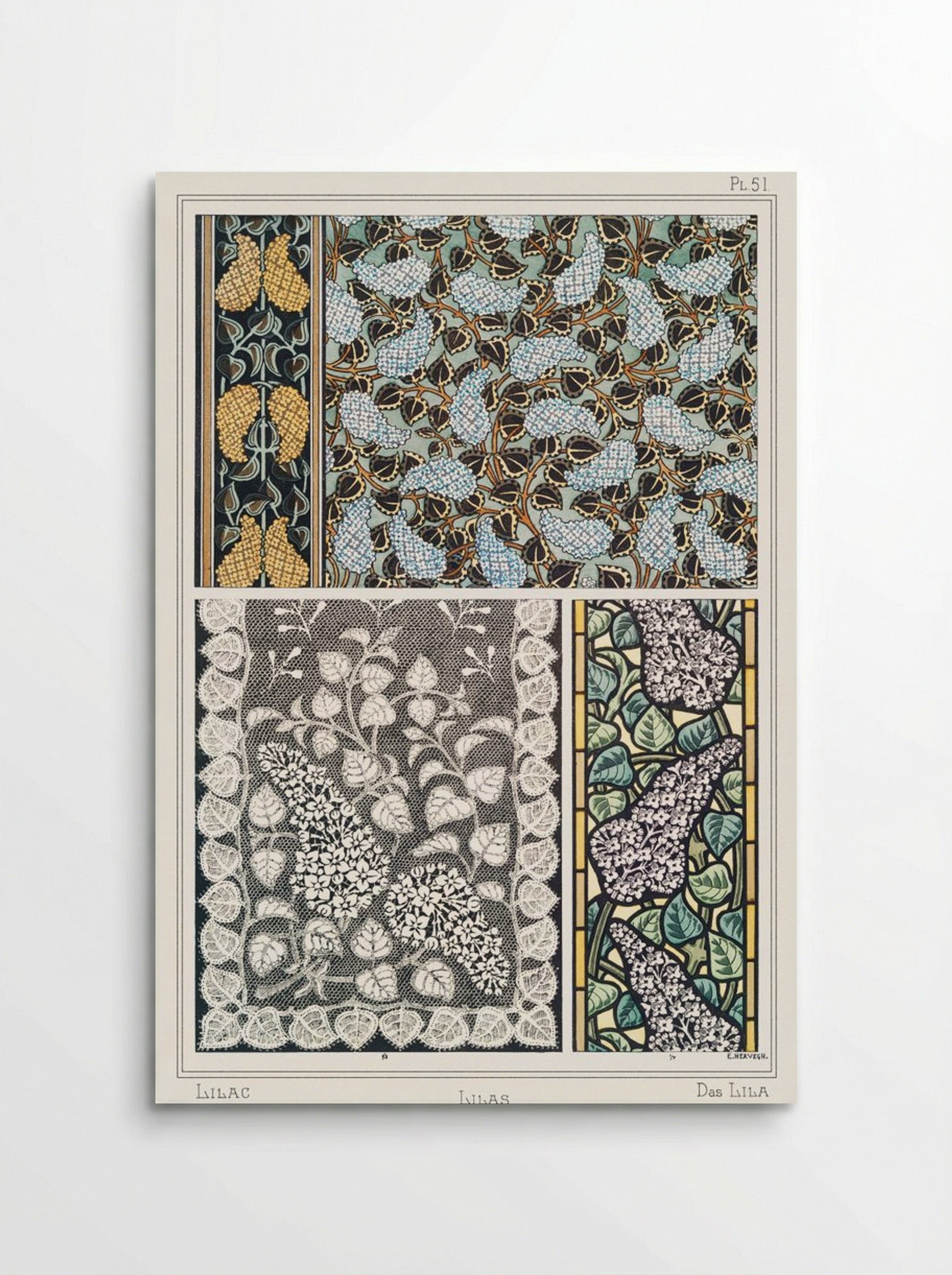 Lilas (Lilac) from La Plante et ses Applications ornementales - Maurice Pillard Verneuil - Poster