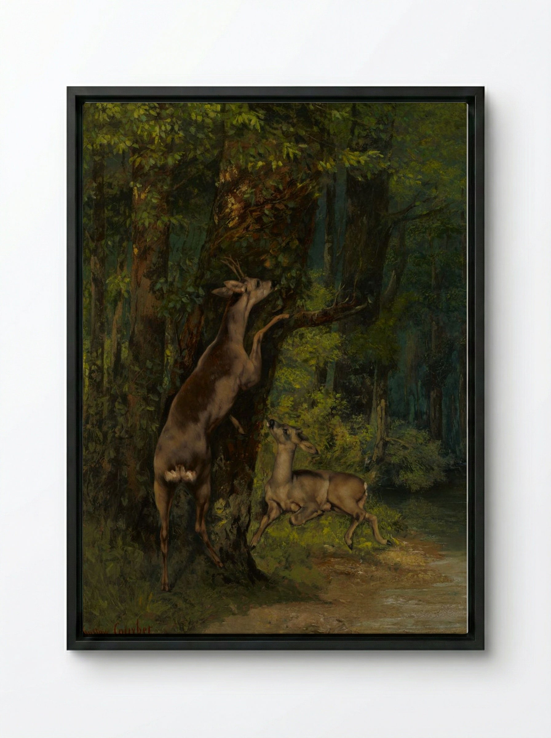 Deer in the Forest - Gustave Courbet - Framed Canvas Black