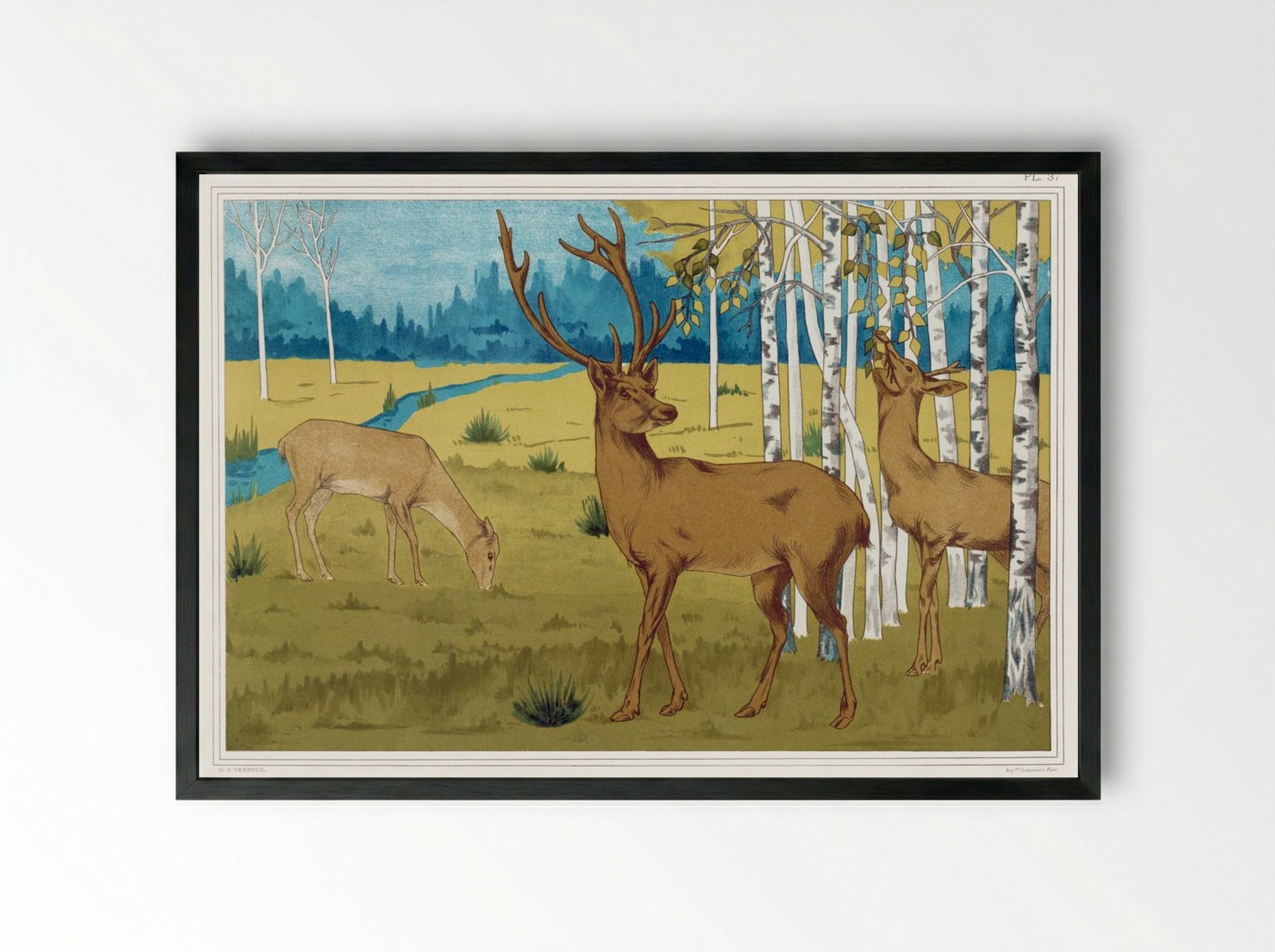 Cerfs (Deer) from L'animal dans la décoration - Maurice Pillard Verneuil - Framed Print Black