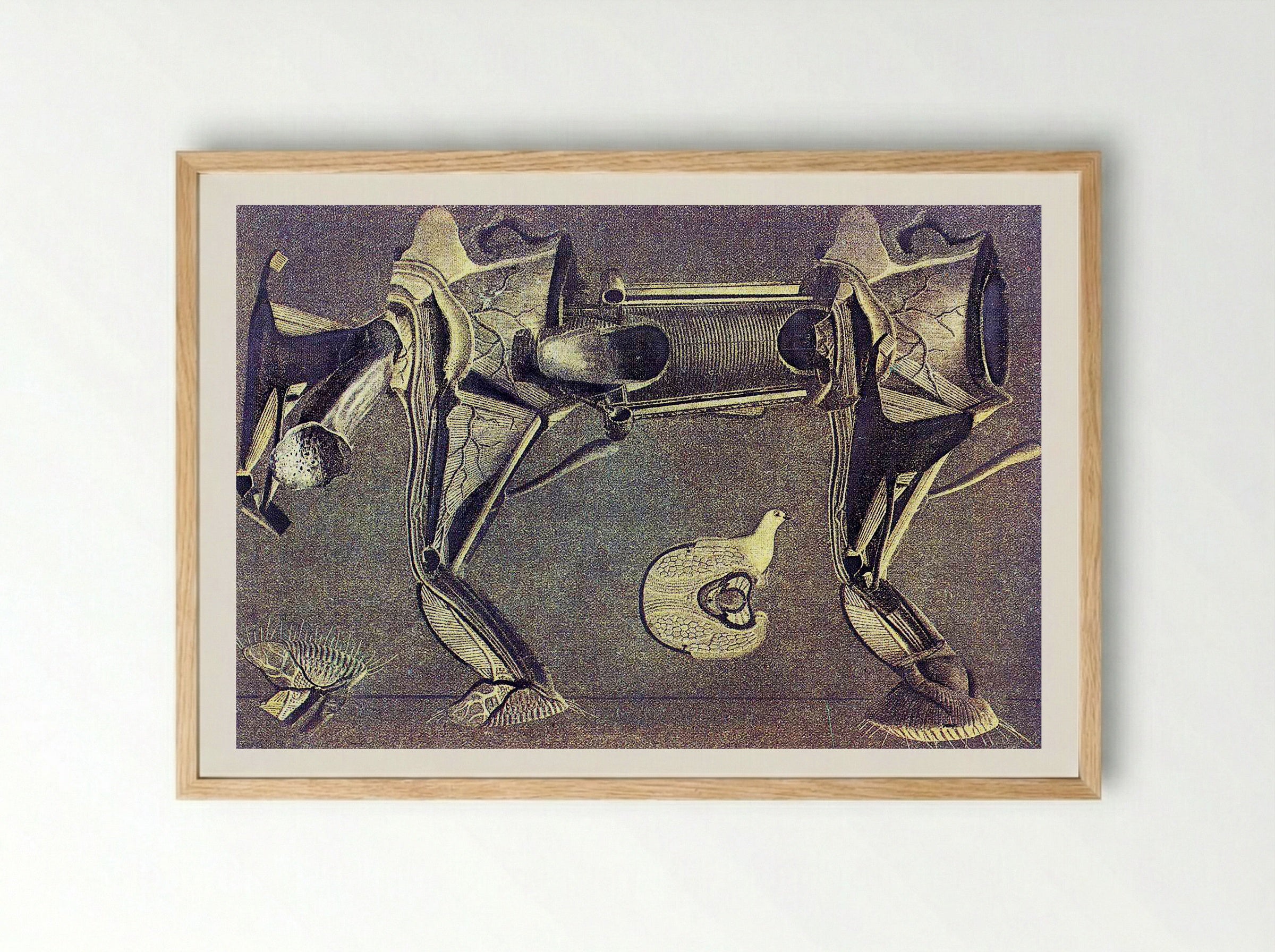 Untitled (Anatomical Study of a Horse and Bird) - Fine Art Print - Framed Print Wood