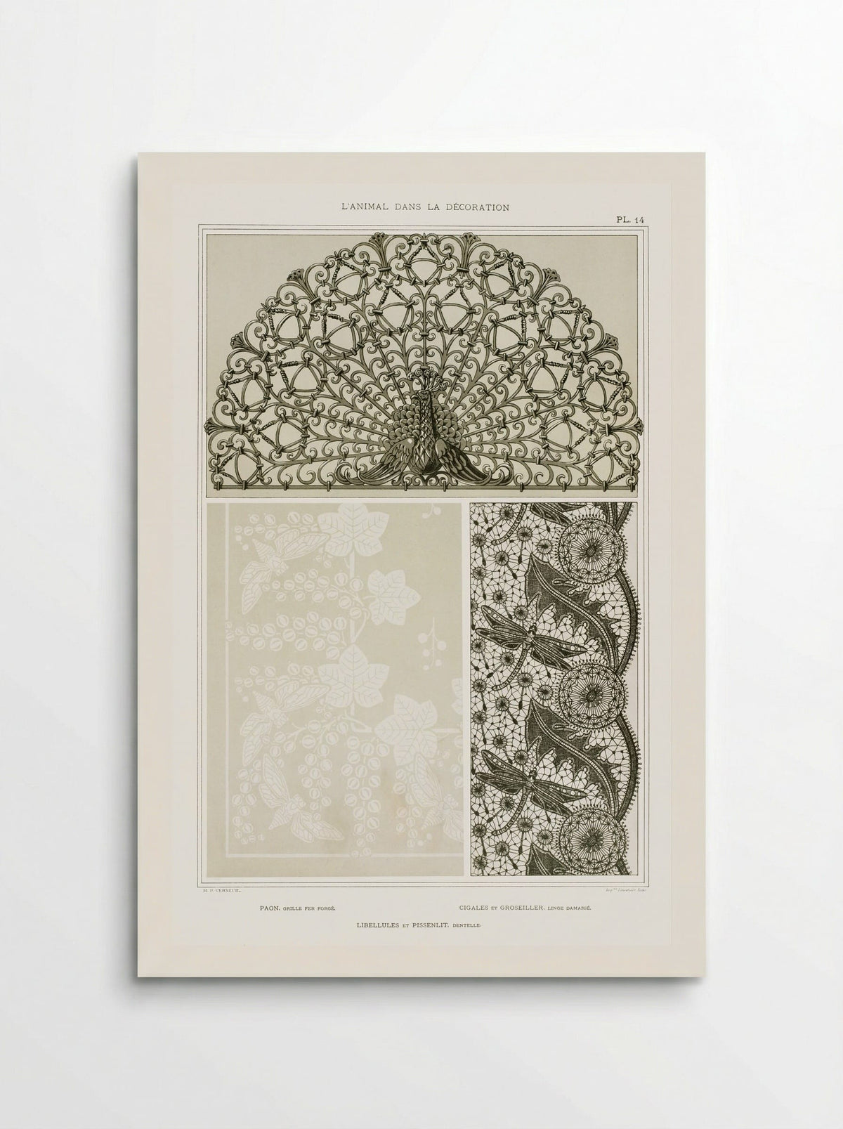 L'Animal dans la Décoration, Plate 14 (Peacock, Cicadas, Dragonflies) - Maurice Pillard Verneuil - Poster