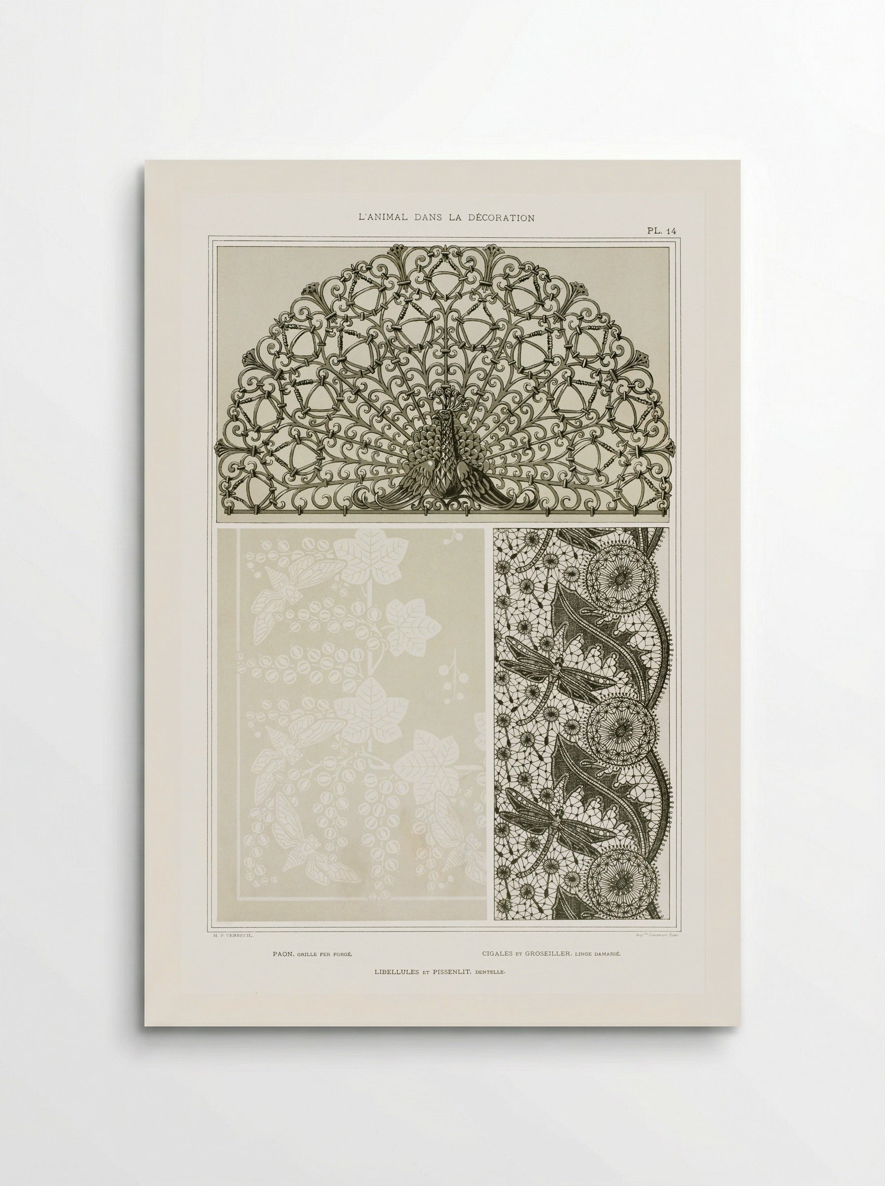 L'Animal dans la Décoration, Plate 14 (Peacock, Cicadas, Dragonflies) - Maurice Pillard Verneuil - Poster
