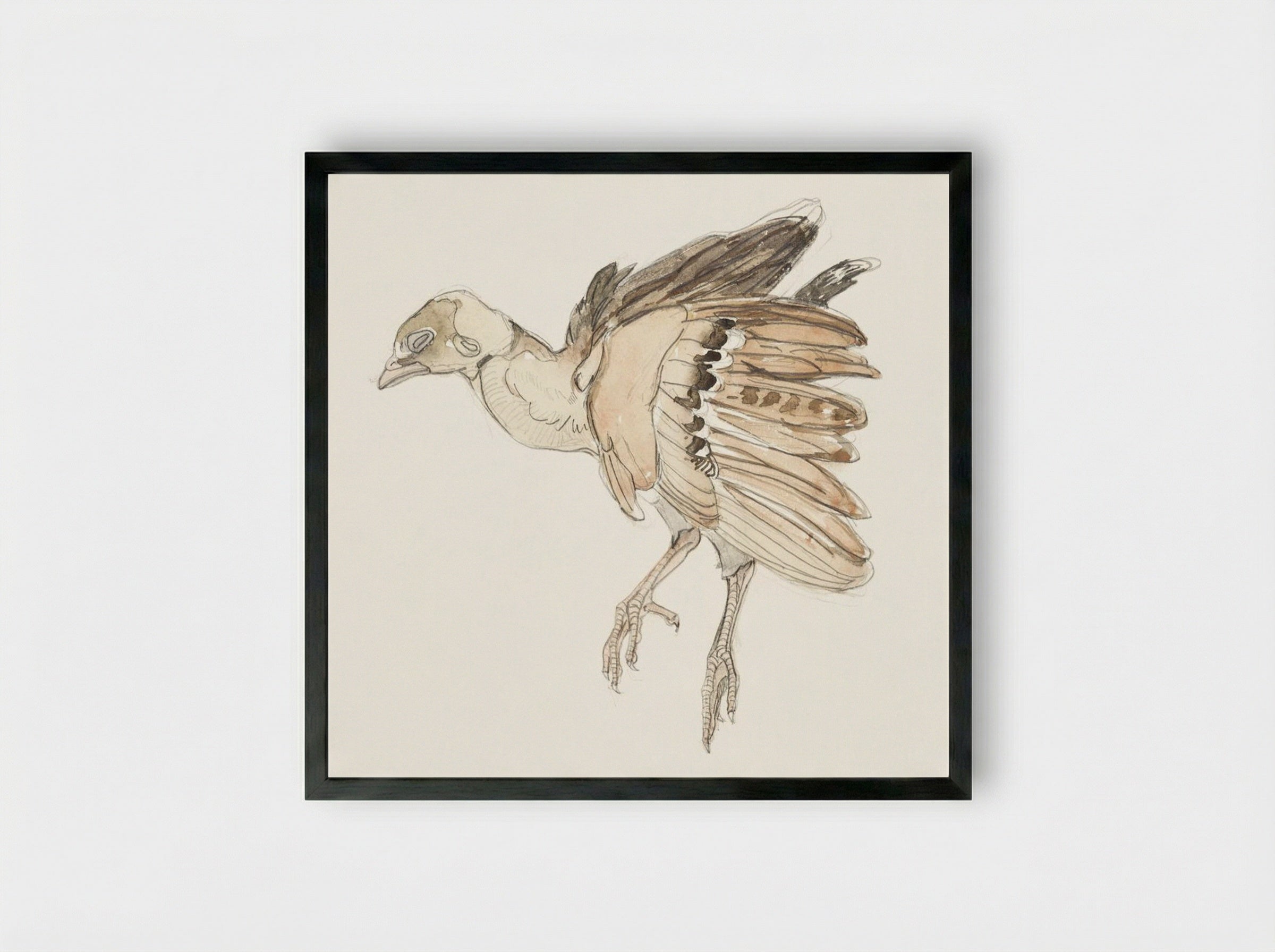 Dood vogeltje (Patrijs) - Theo van Hoytema - Framed Print Black