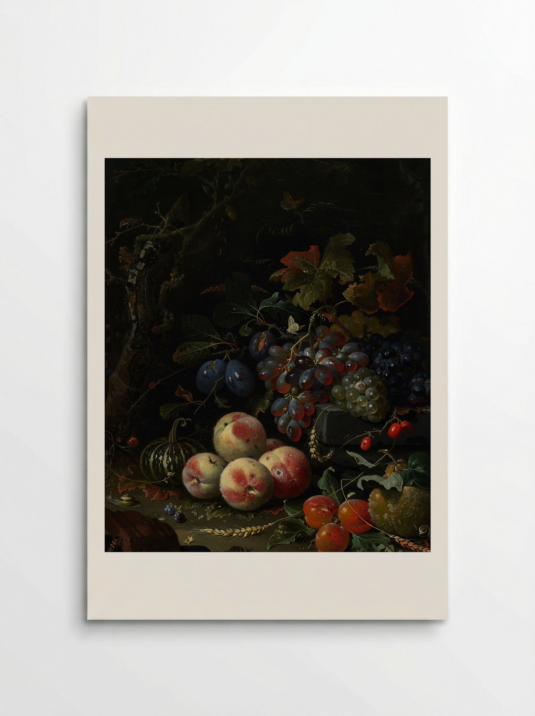 Still Life with Fruit, Foliage, and Insects - Abraham Mignon - Poster