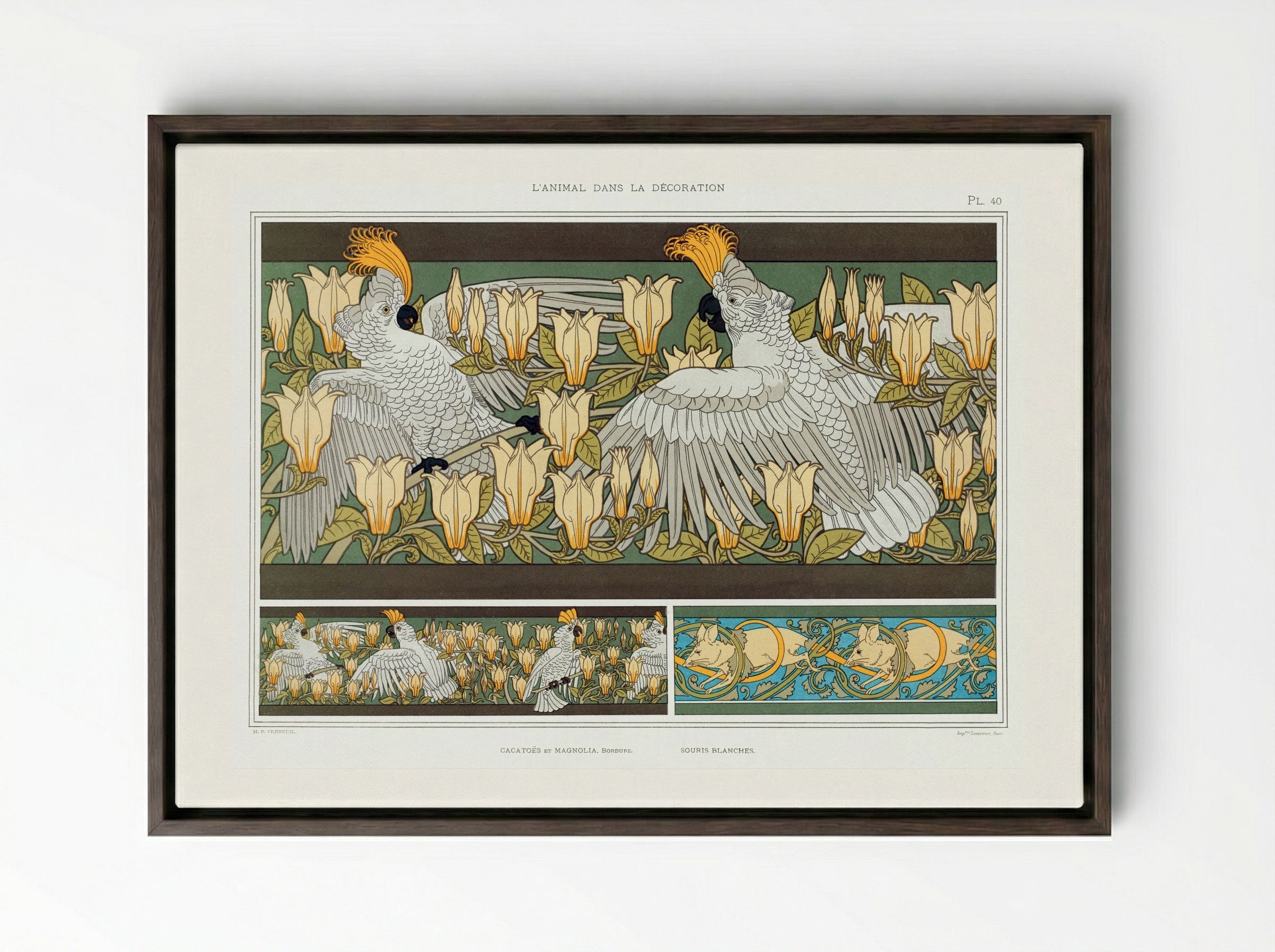 Cacatoès et Magnolia, Bordure; Souris Blanches - Maurice Pillard Verneuil - Framed Canvas Dark Wood