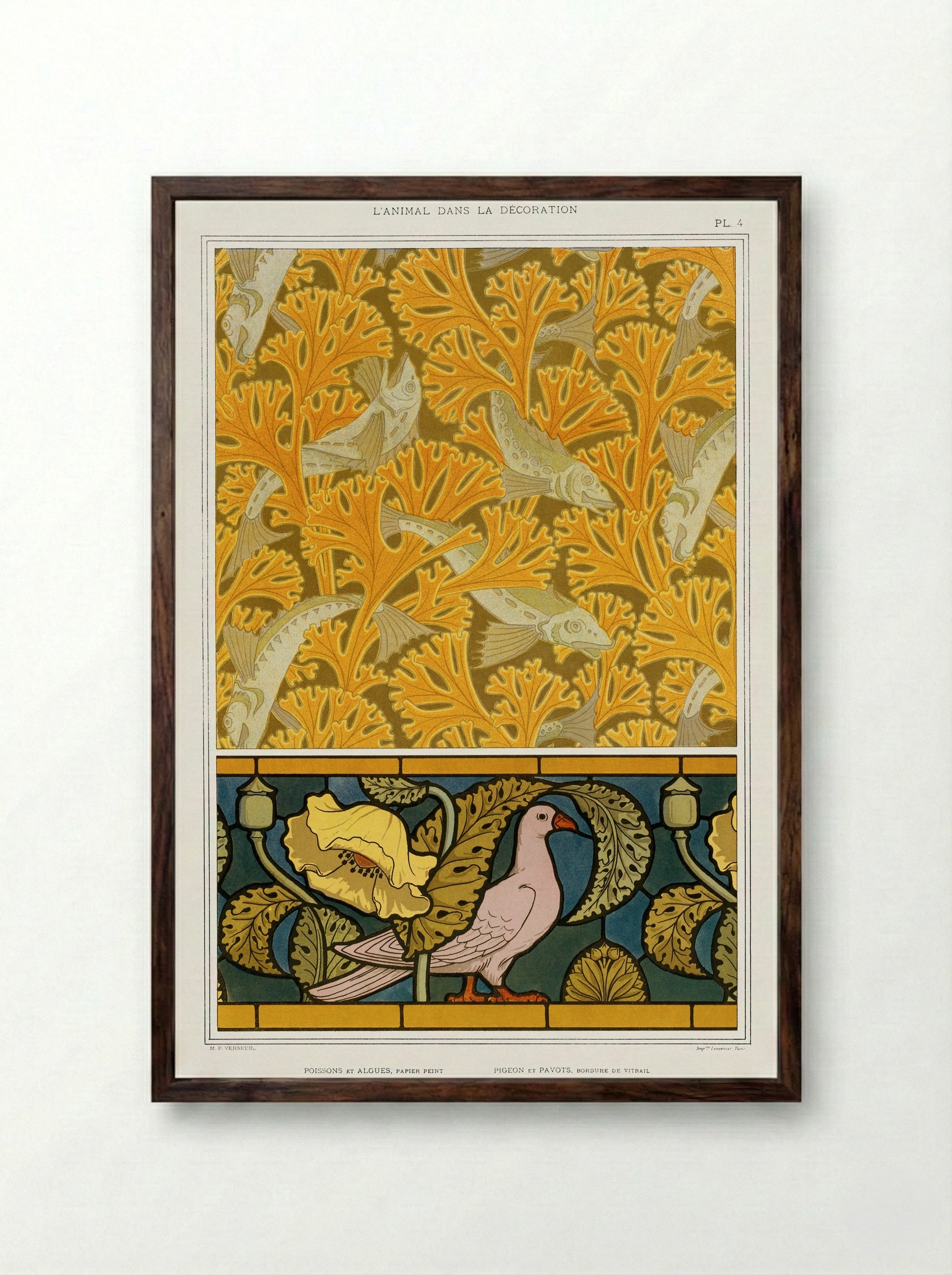 Poisson et Algues, Papier Peint / Pigeon et Pavots, Bordure de Vitrail - Maurice Pillard Verneuil - Framed Print Dark Wood