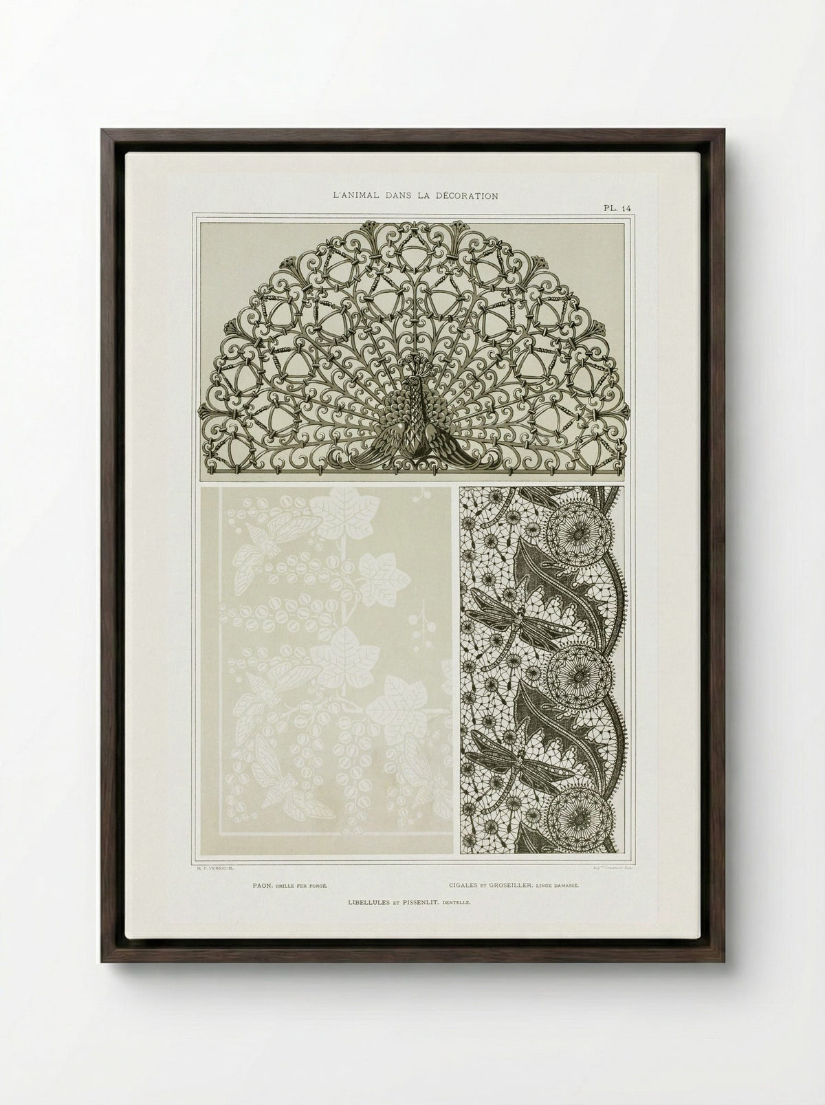 L'Animal dans la Décoration, Plate 14 (Peacock, Cicadas, Dragonflies) - Maurice Pillard Verneuil - Framed Canvas Dark Wood