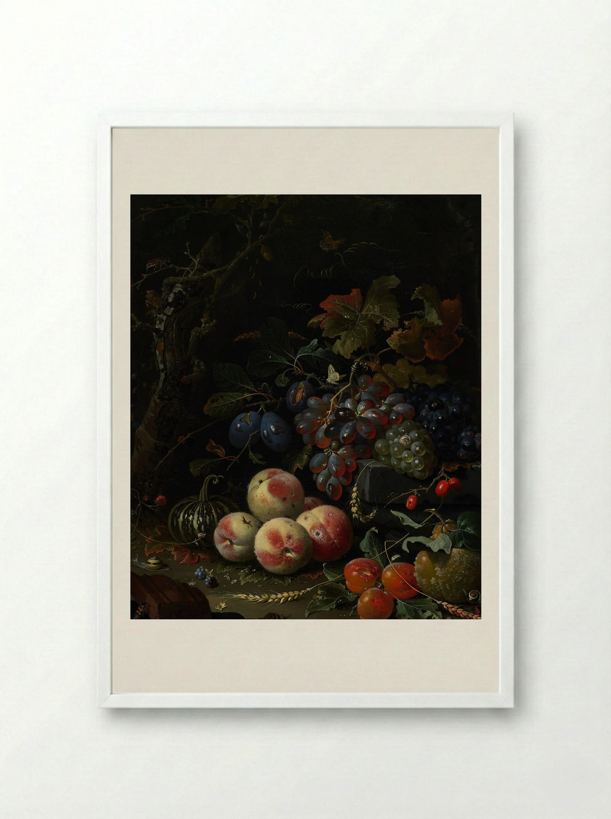 Still Life with Fruit, Foliage, and Insects - Abraham Mignon - Framed Print White