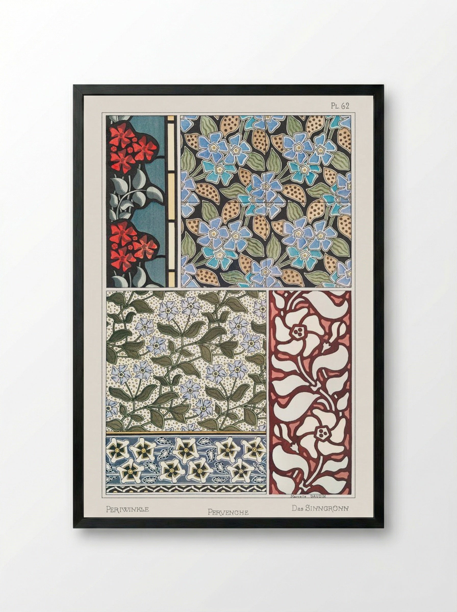 Pervenche (Periwinkle) from La Plante et ses Applications ornementales - Maurice Pillard Verneuil - Framed Print Black